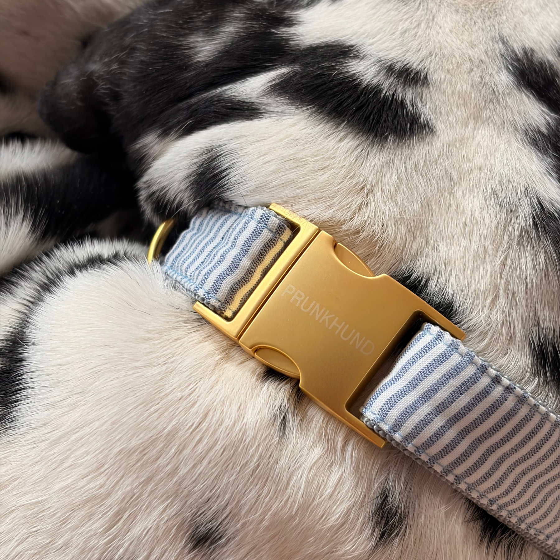 Halsband RIVIERA blue