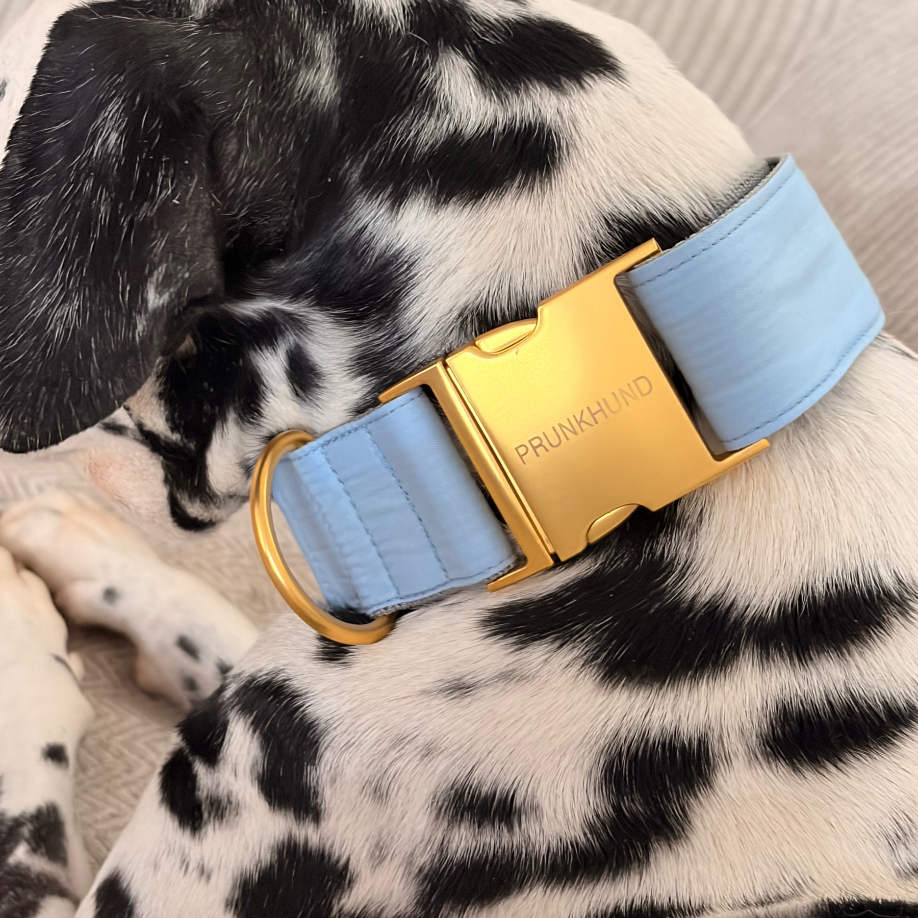 BASIC olive collar
