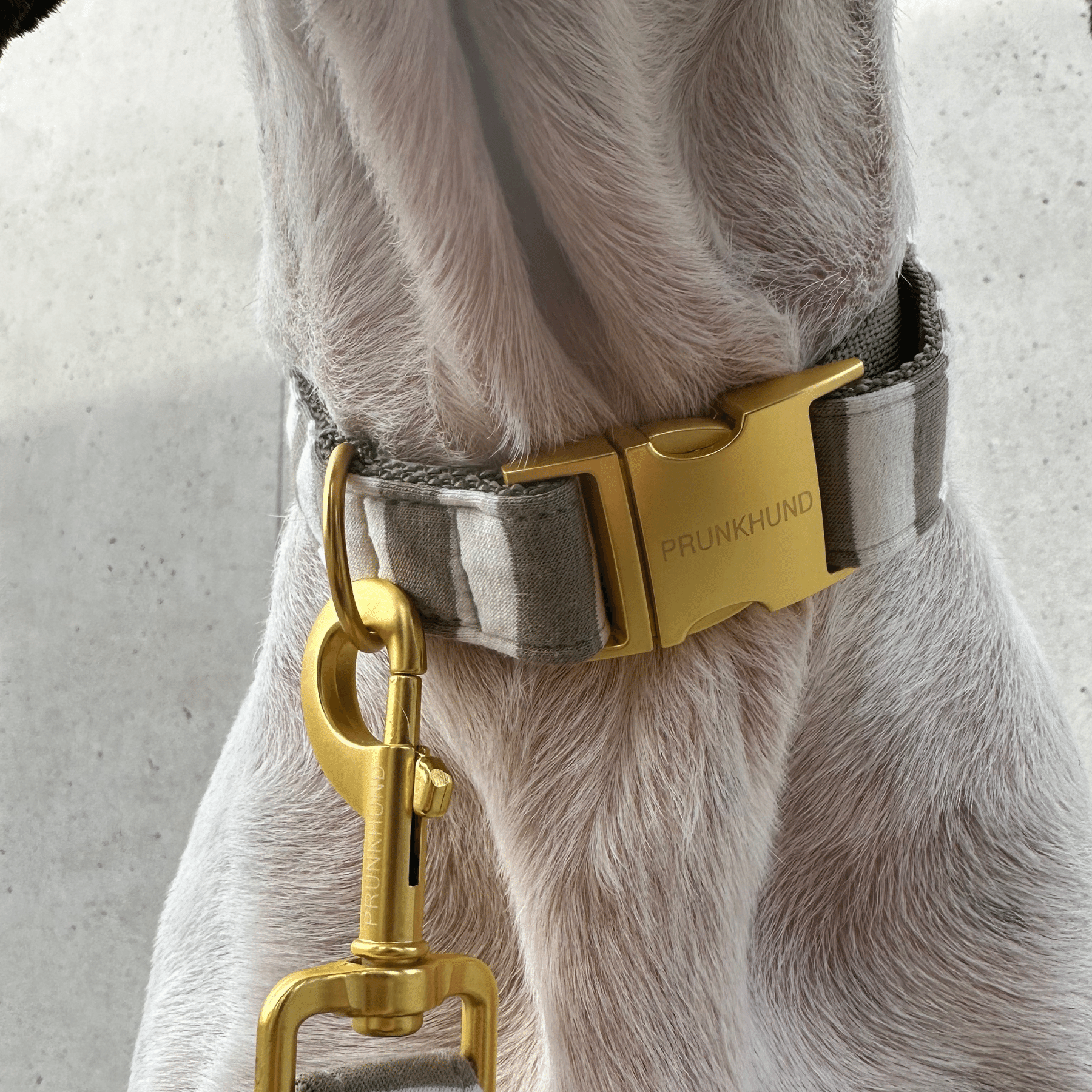 LDIO olive collar