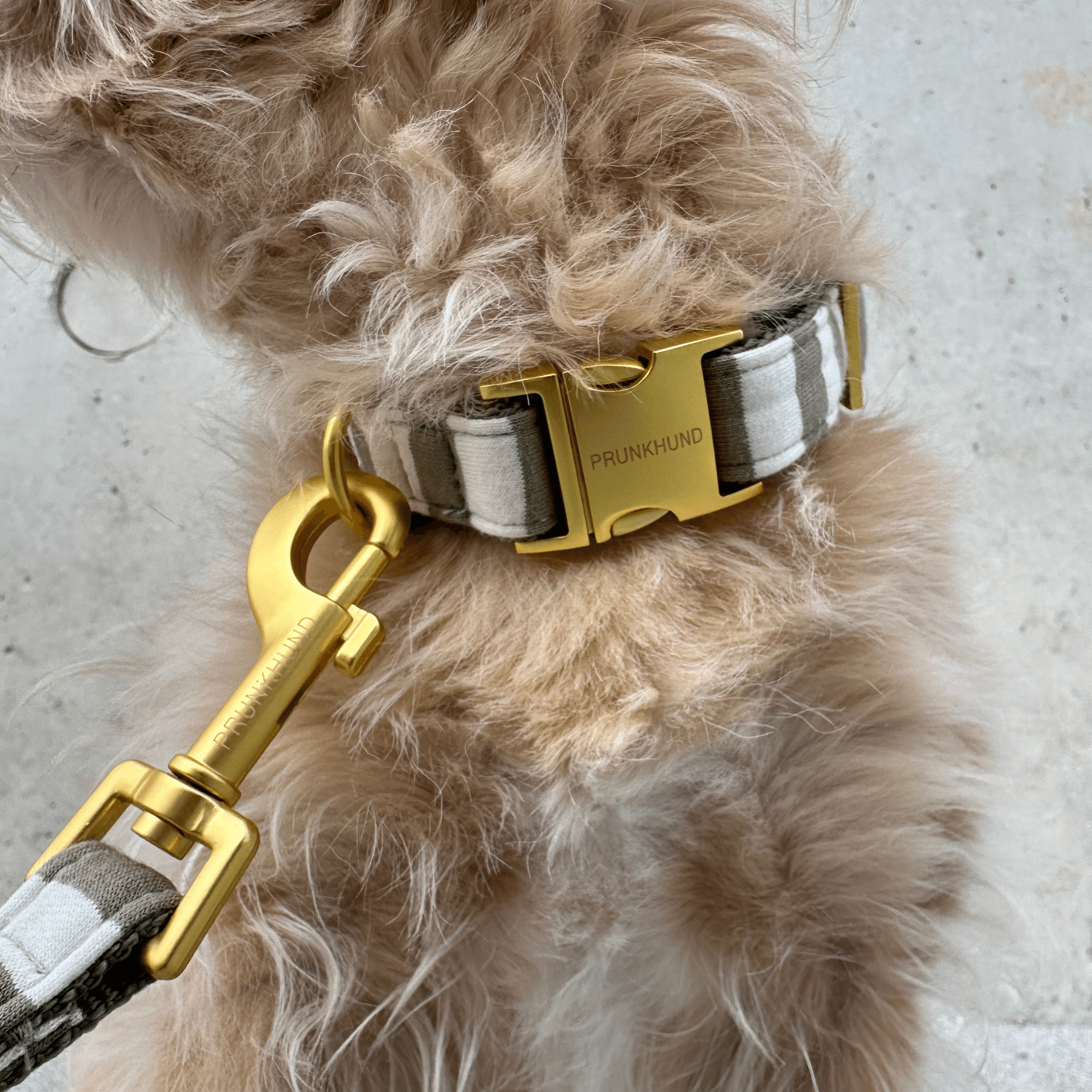 LDIO olive collar