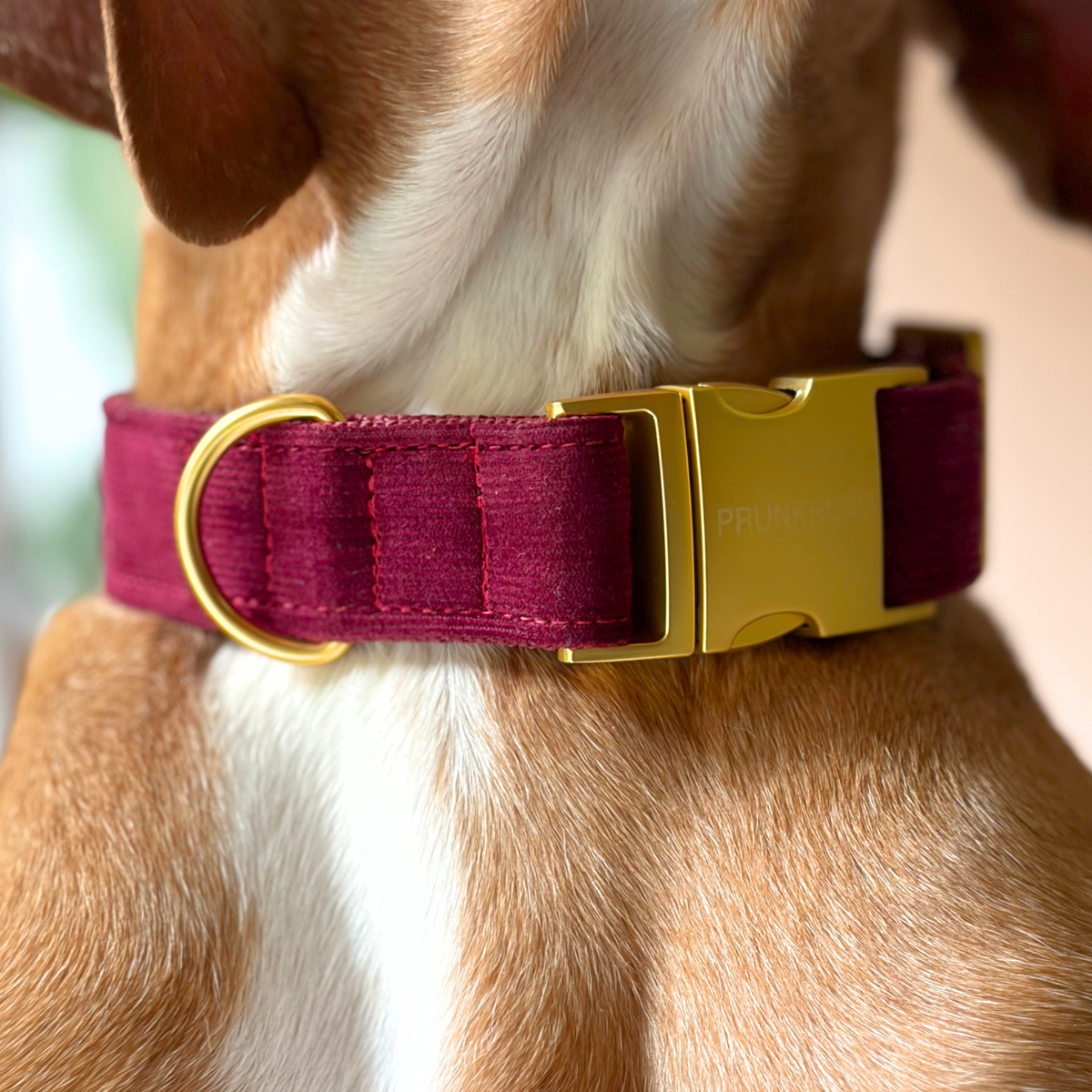 Halsband MERLOT