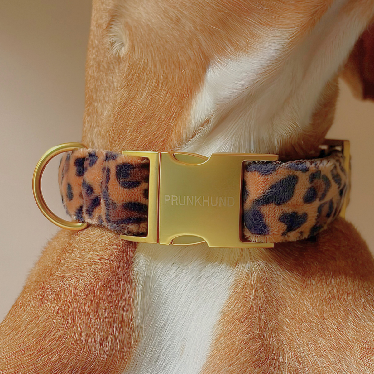 BASIC tan collar