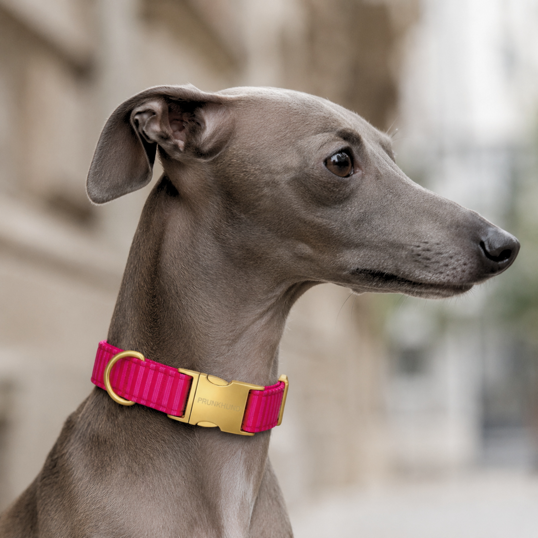 BASIC olive collar