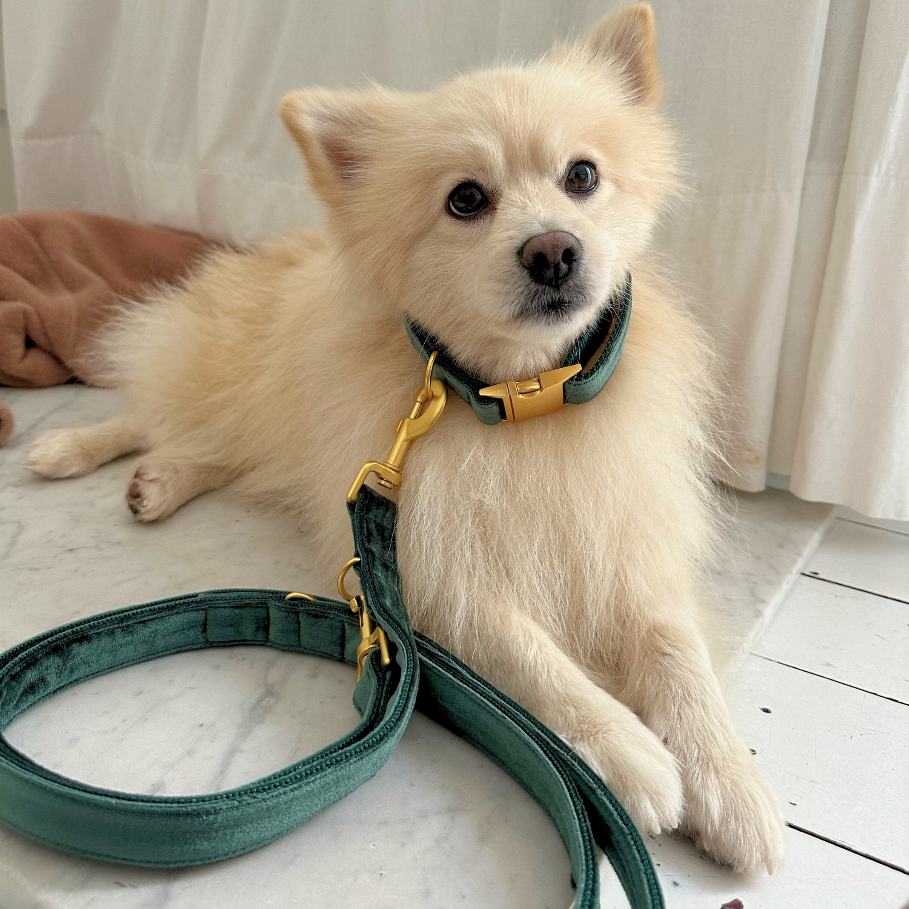Halsband PINE