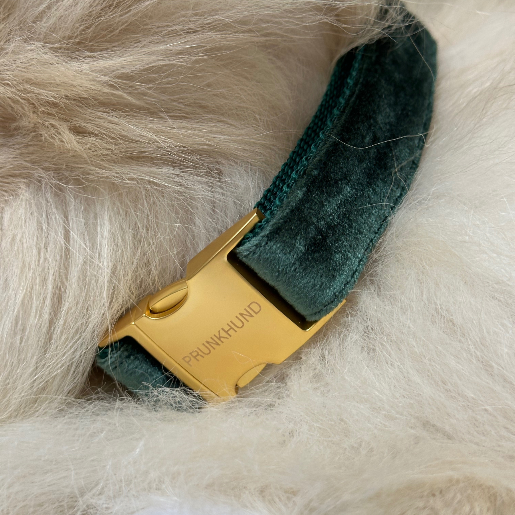 Halsband PINE
