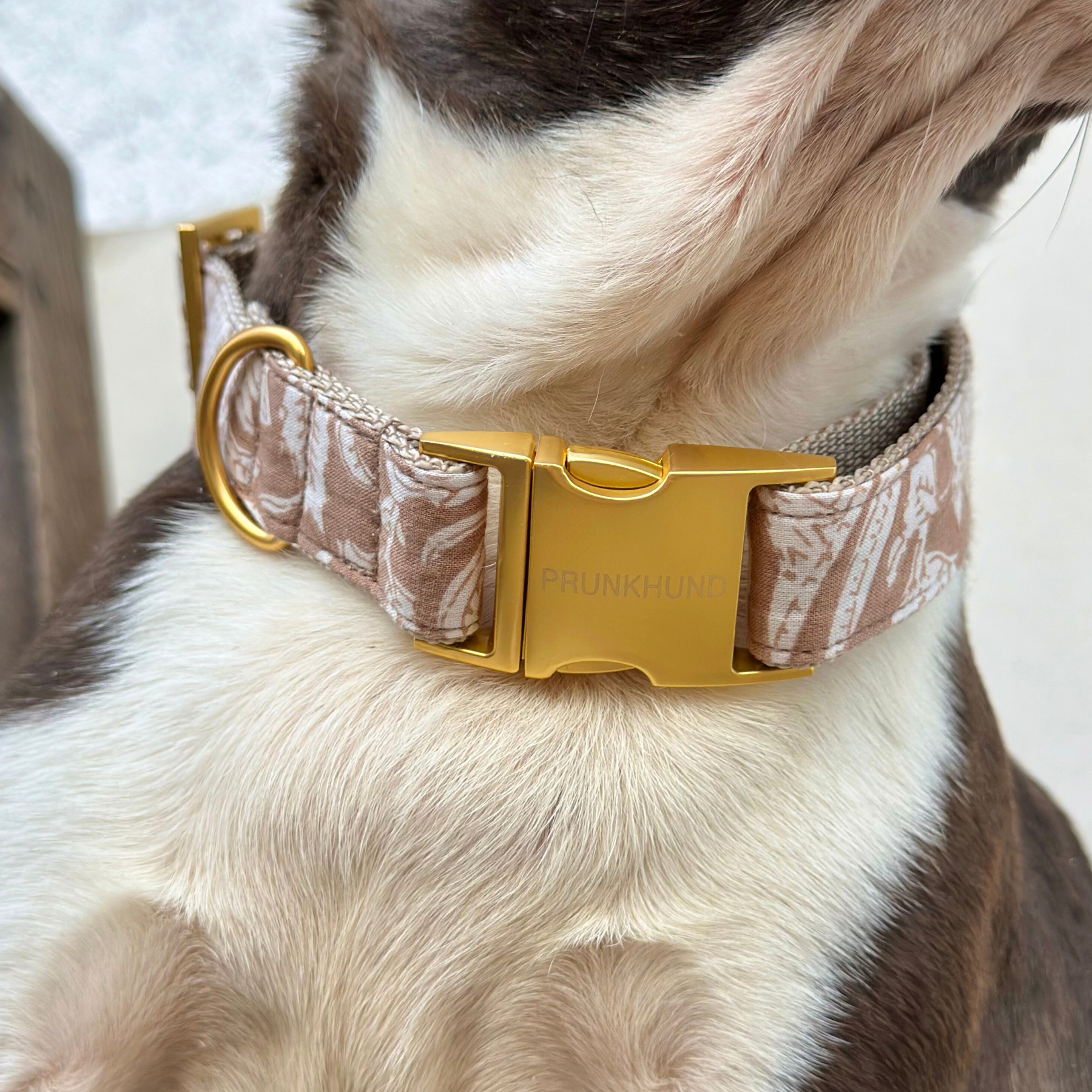 Halsband GOA sand