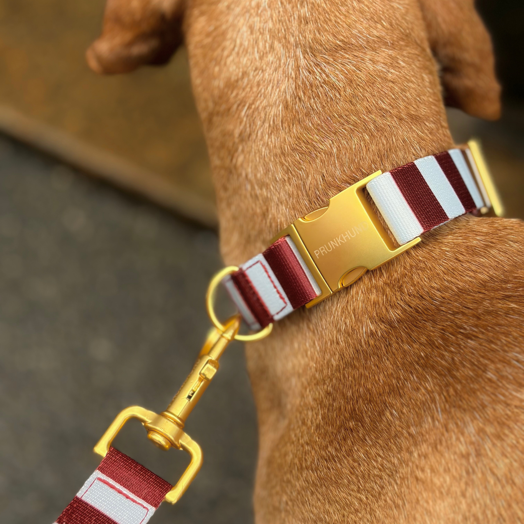 Halsband PORTOFINO
