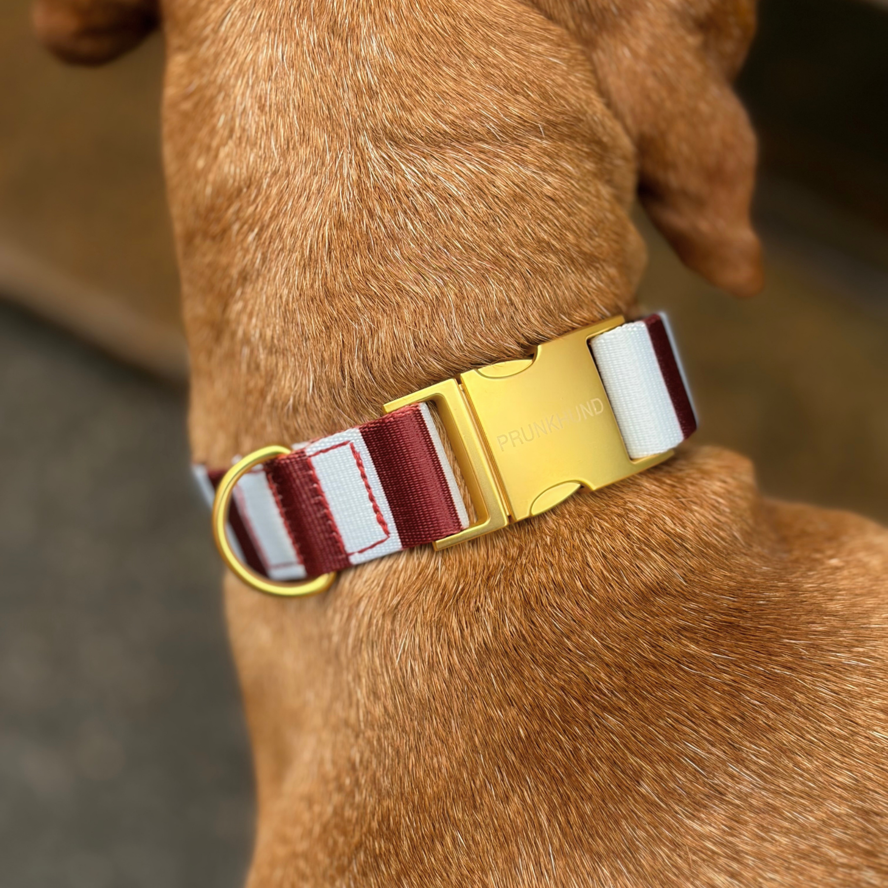 Halsband PORTOFINO