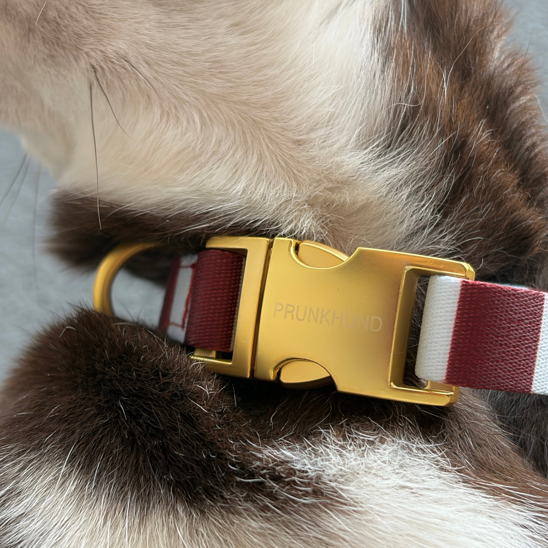 Halsband PORTOFINO