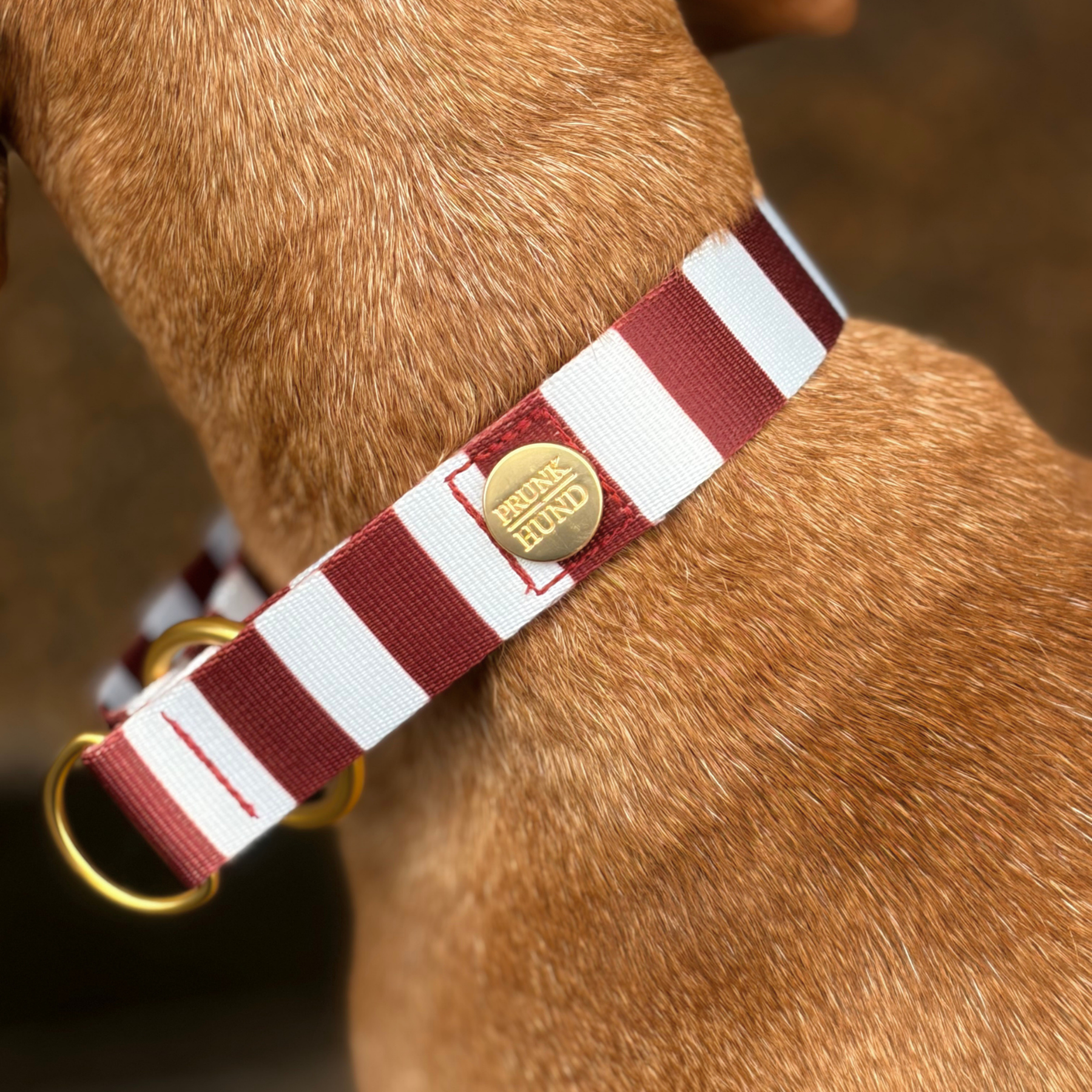 Zugstopp Halsband PORTOFINO