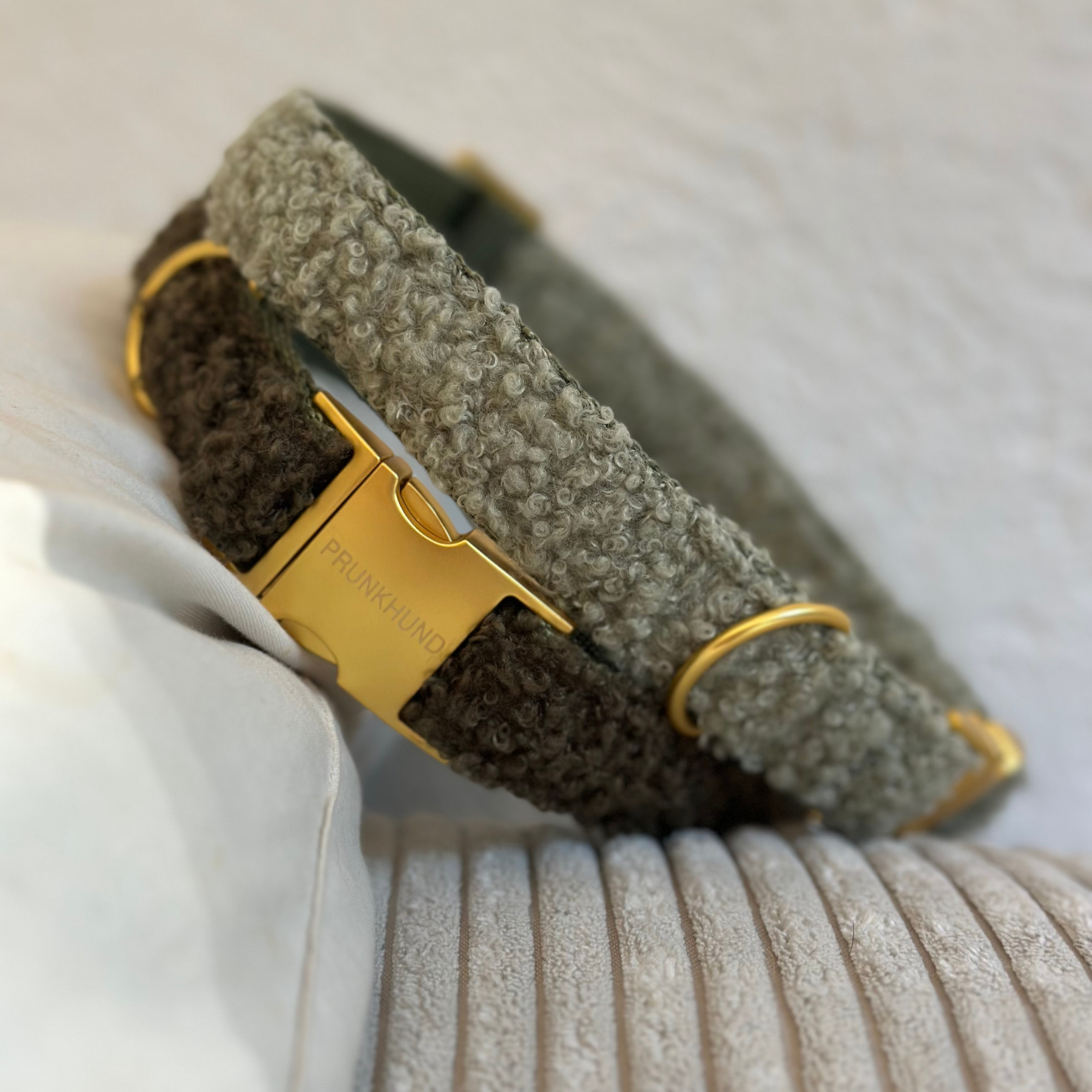 TEDDY tan collar