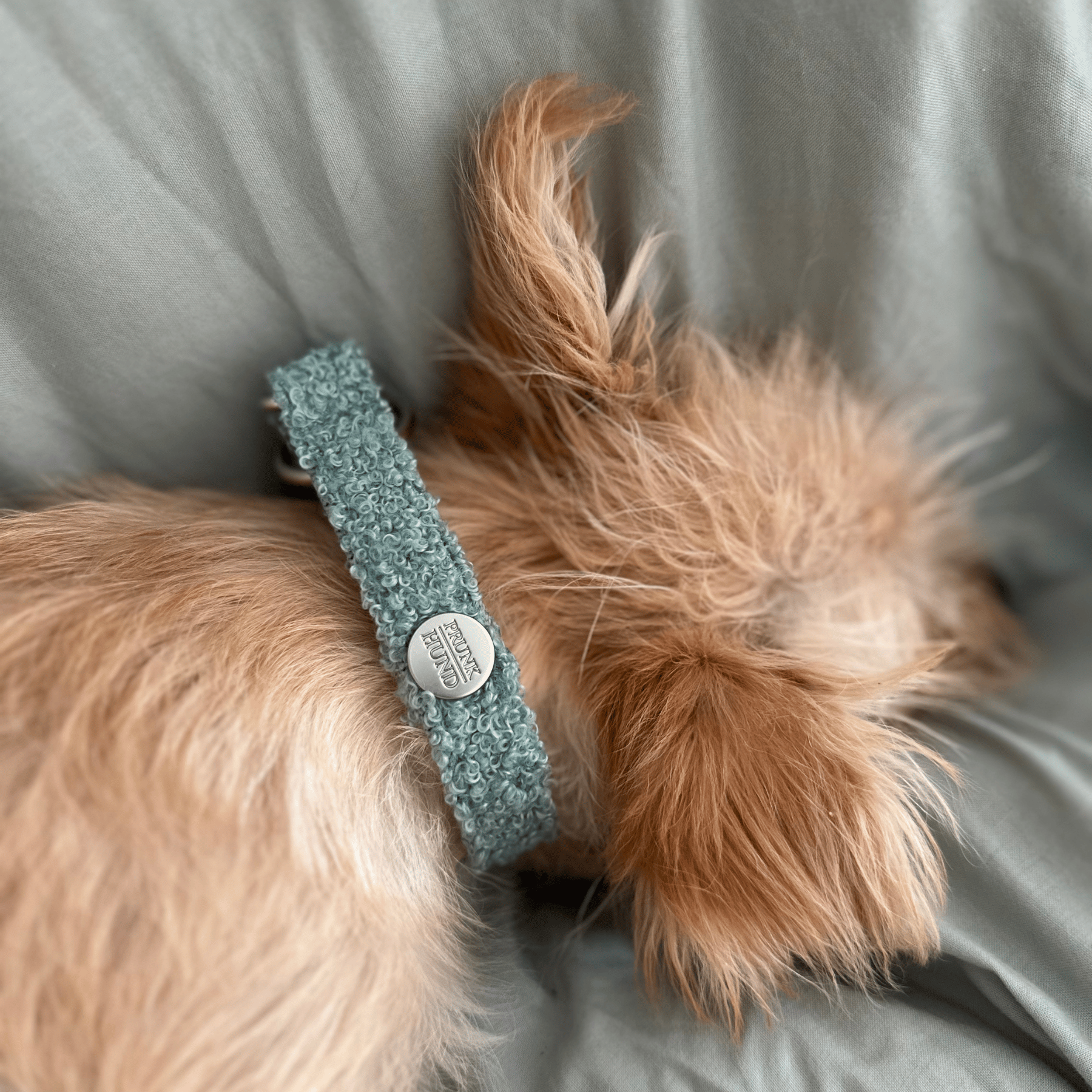 Zugstopp Halsband TEDDY mint