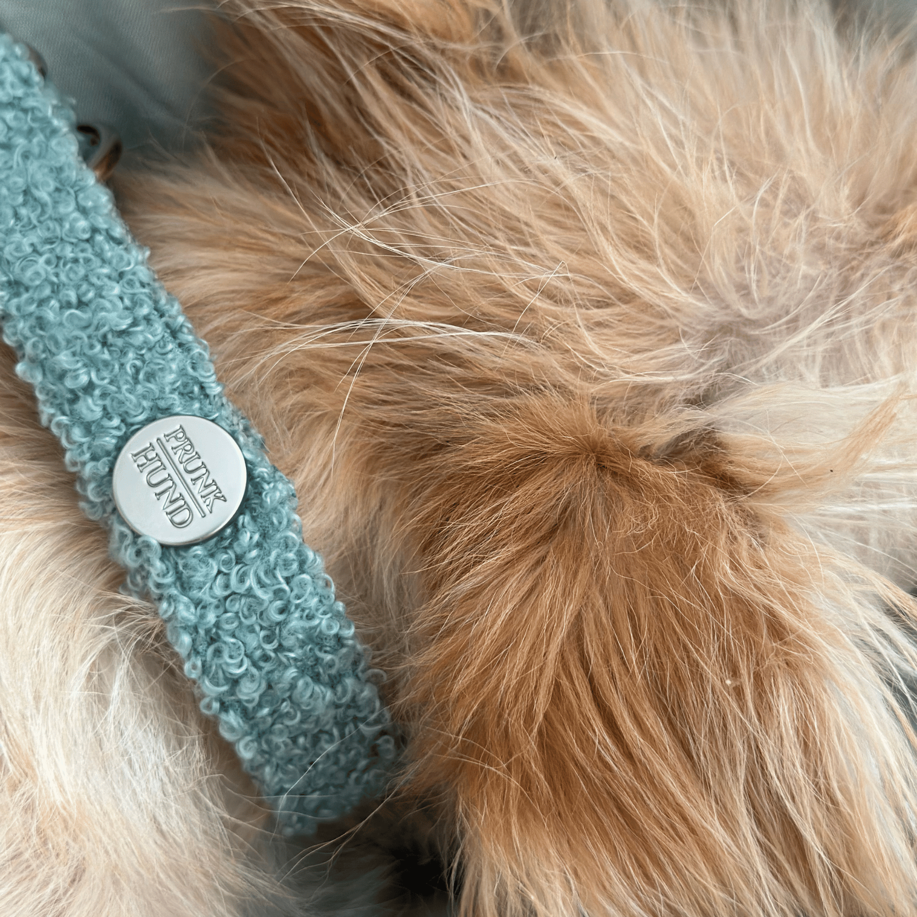 Zugstopp Halsband TEDDY mint