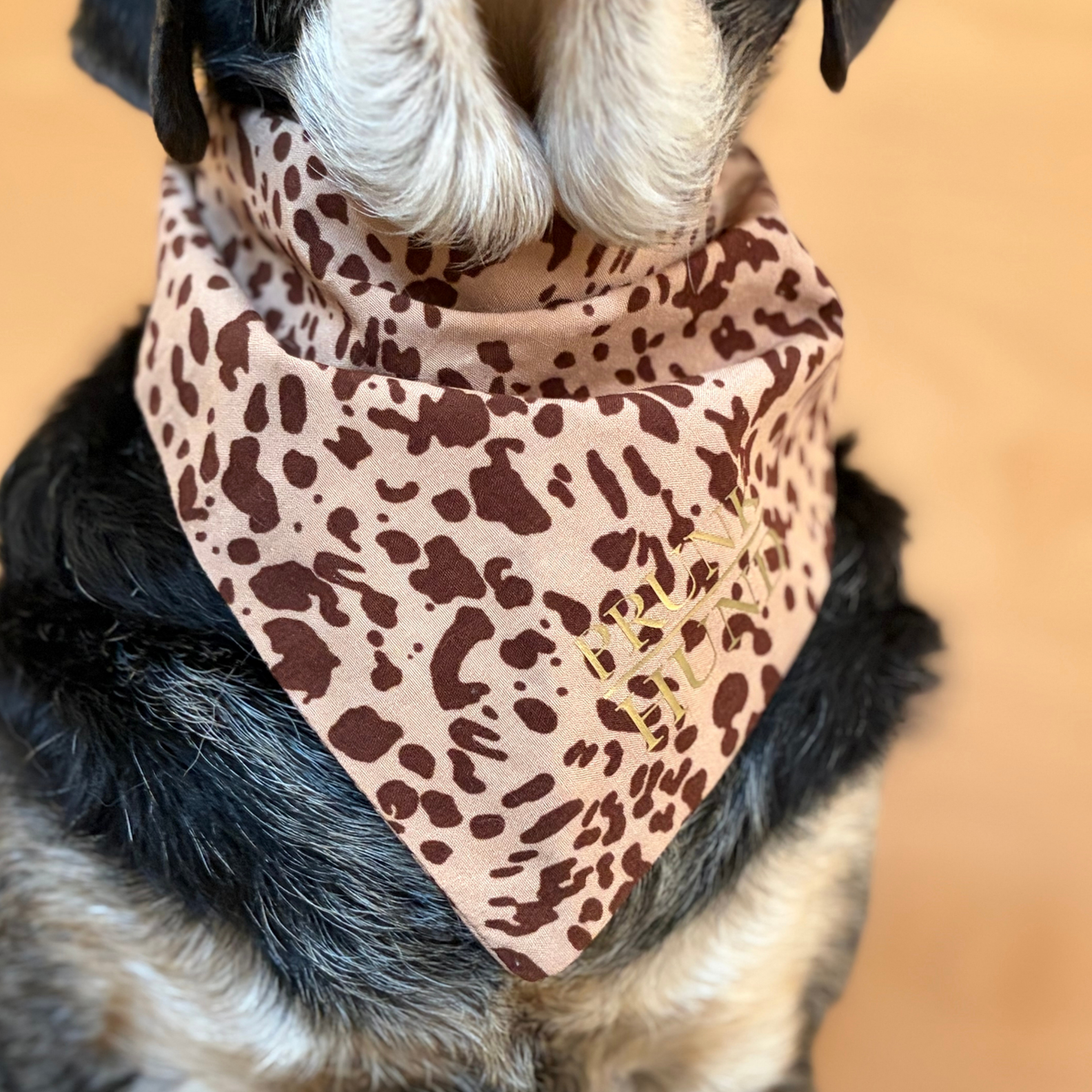 Hundehalstuch SPOTTED