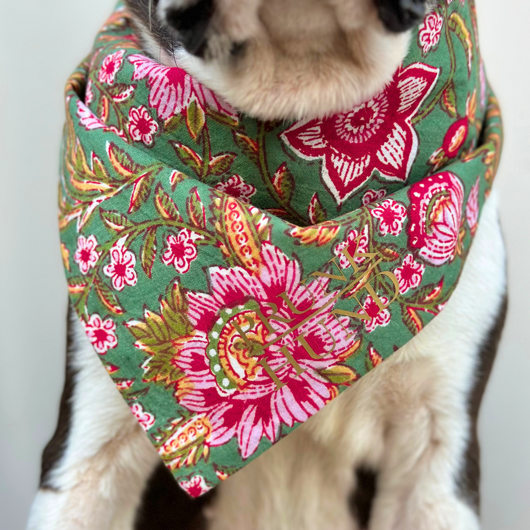 Dog bandana GOA garden