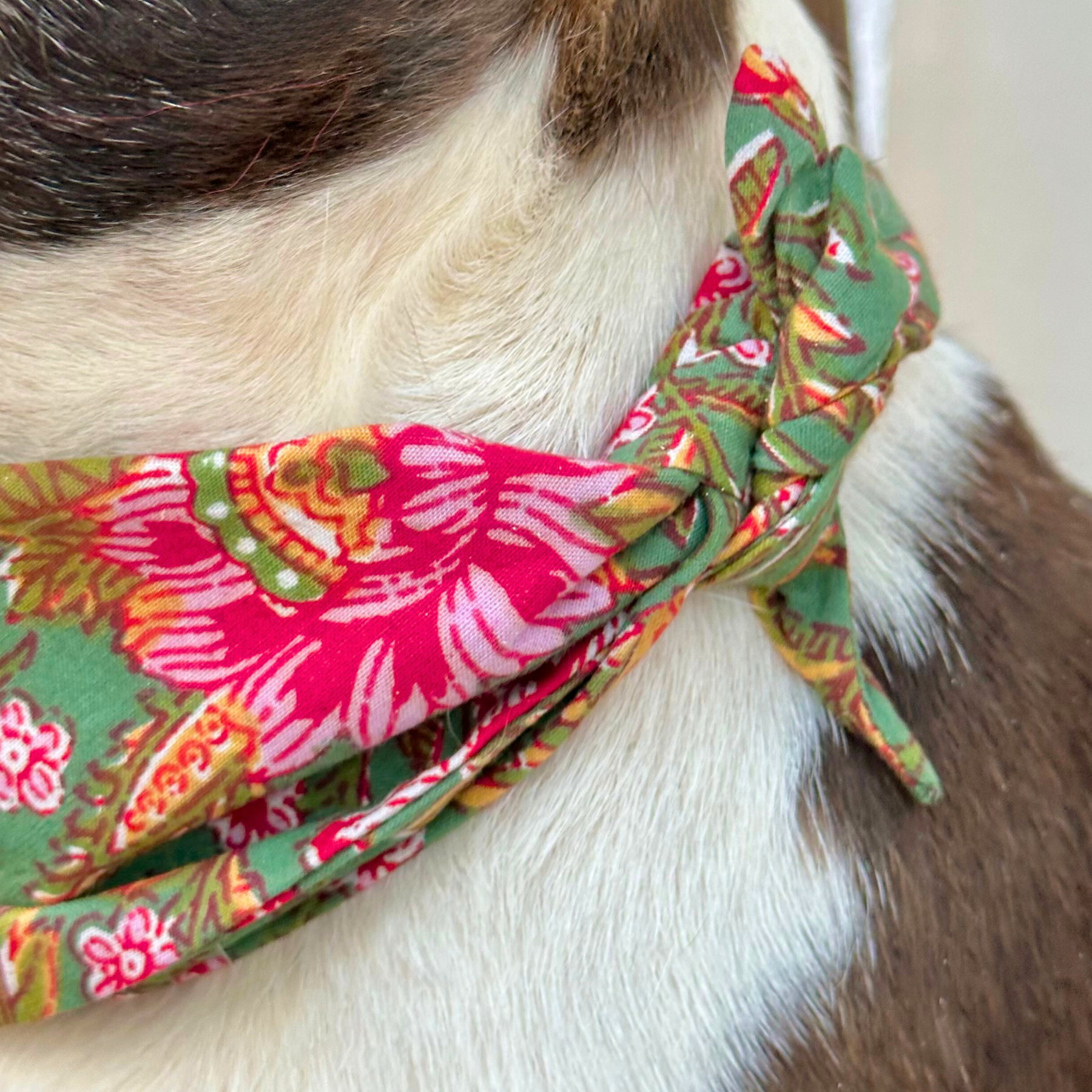 Dog bandana GOA garden