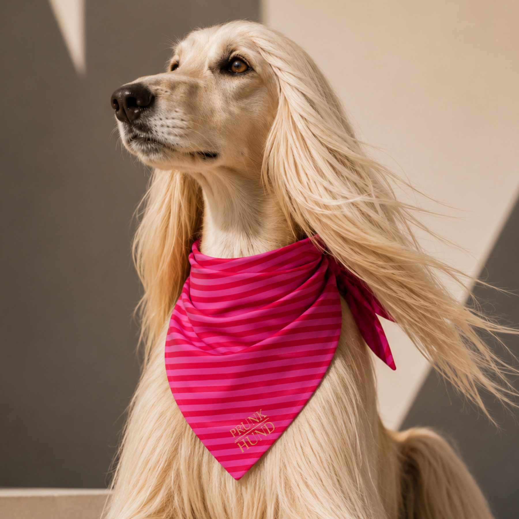 Dog bandana WILD LIFE