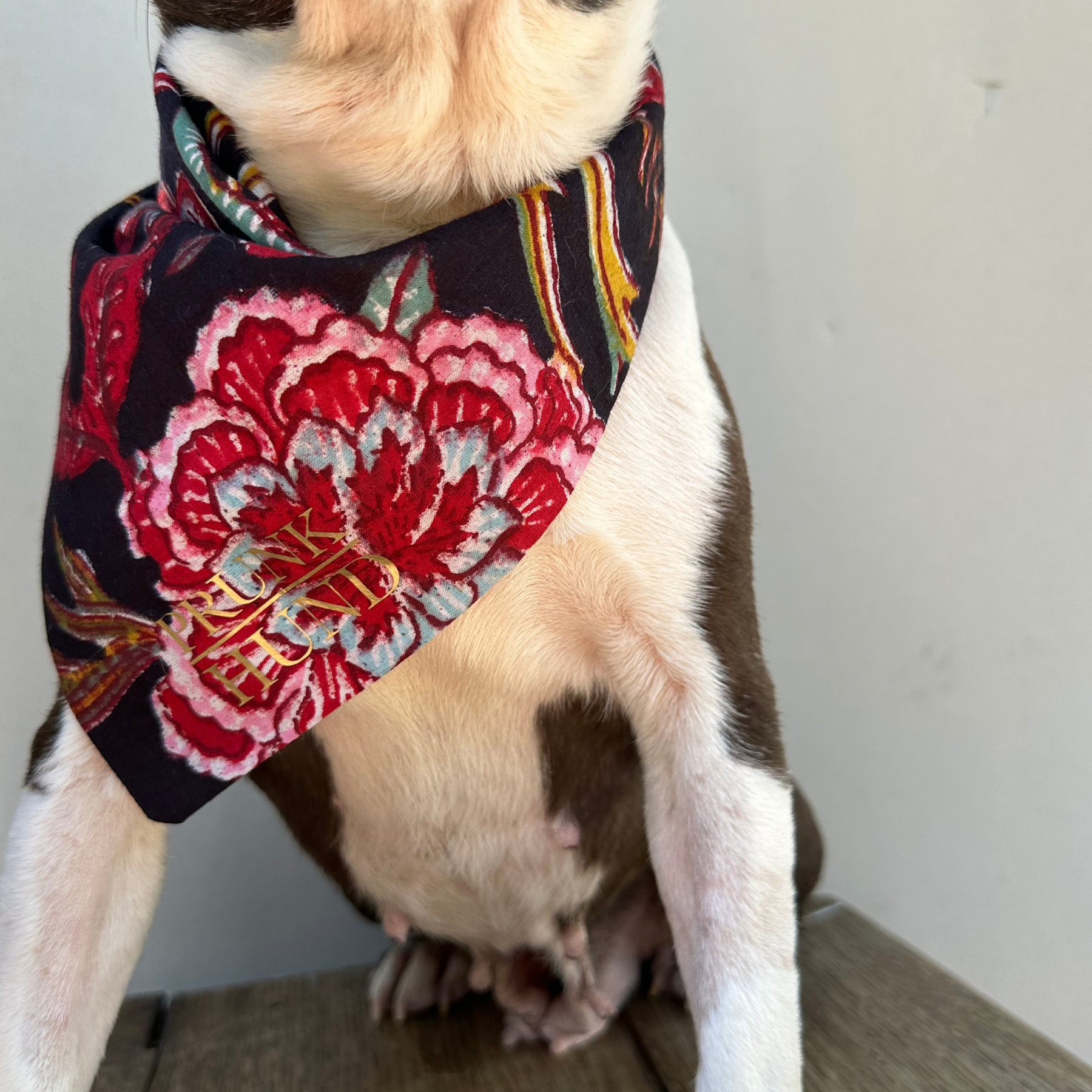 Dog bandana GOA midnight