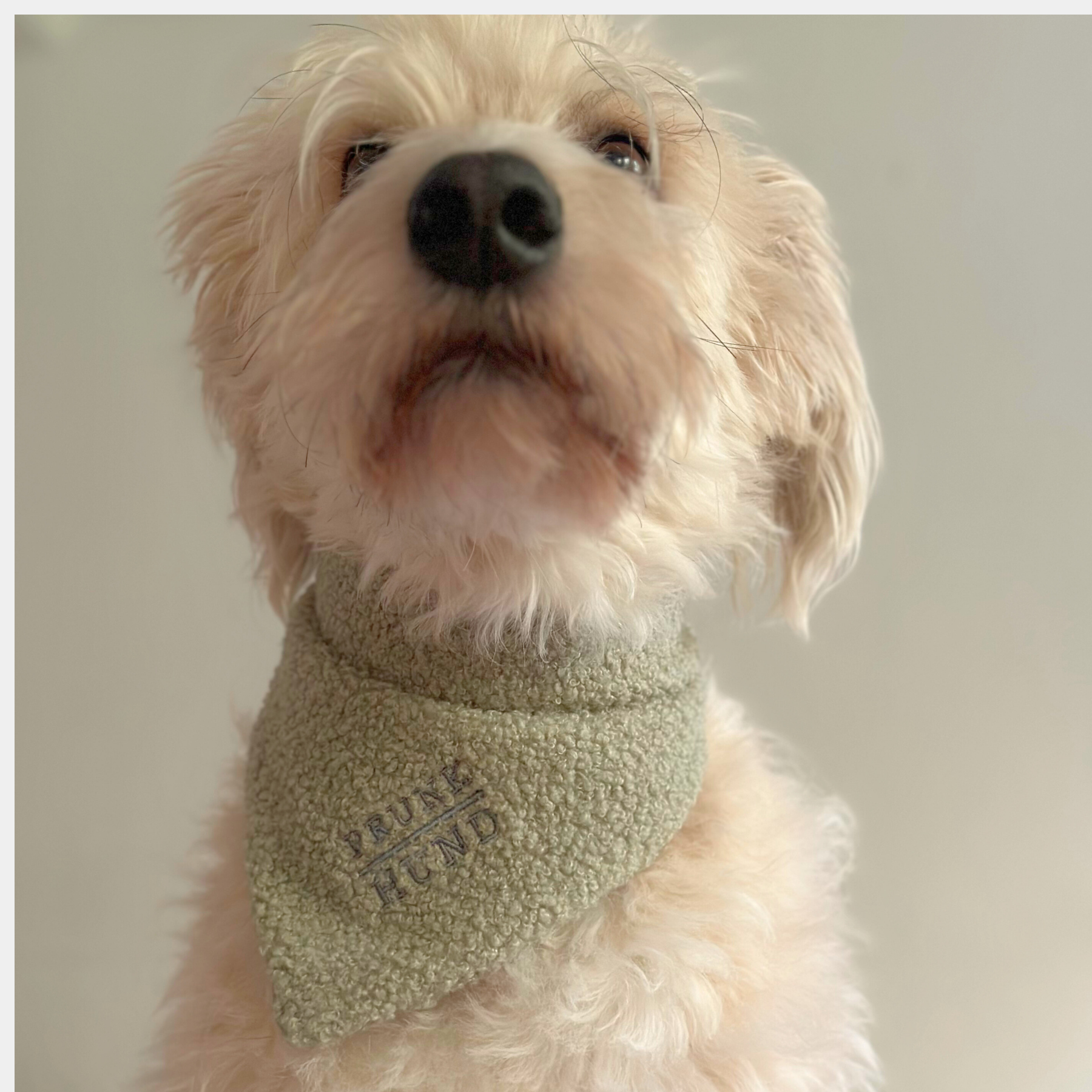 Dog bandana TEDDY tan