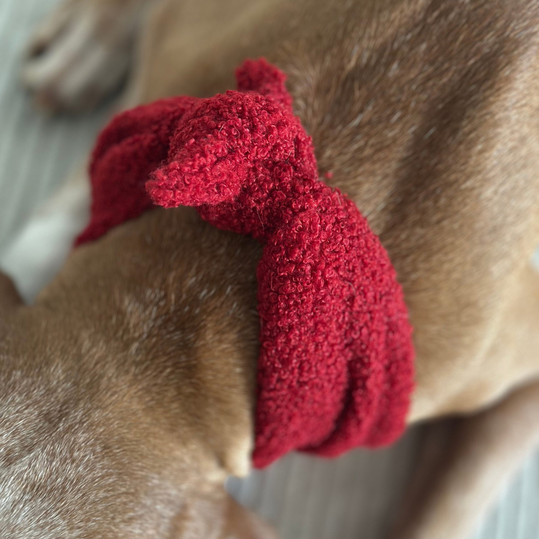 Dog bandana TEDDY tan