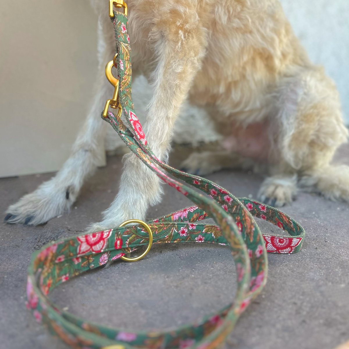 GOA garden leash