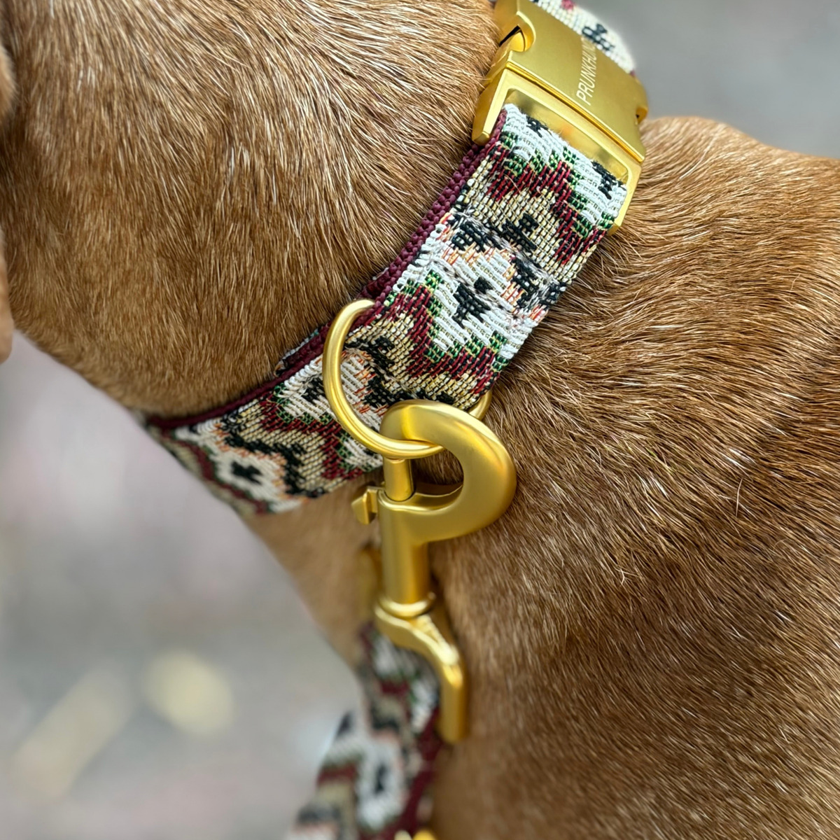 WILD LIFE leash