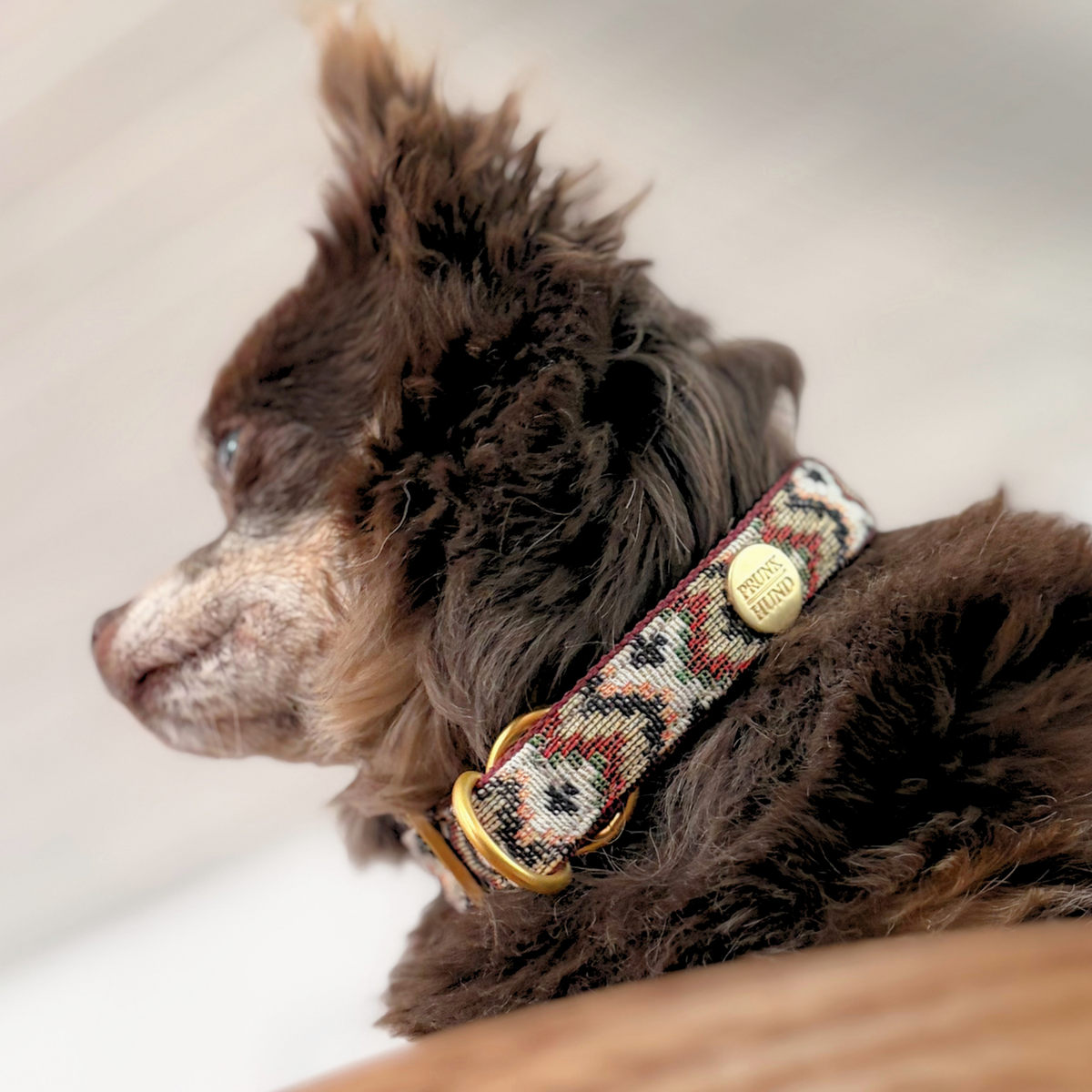 Zugstopp Halsband ZIGGY