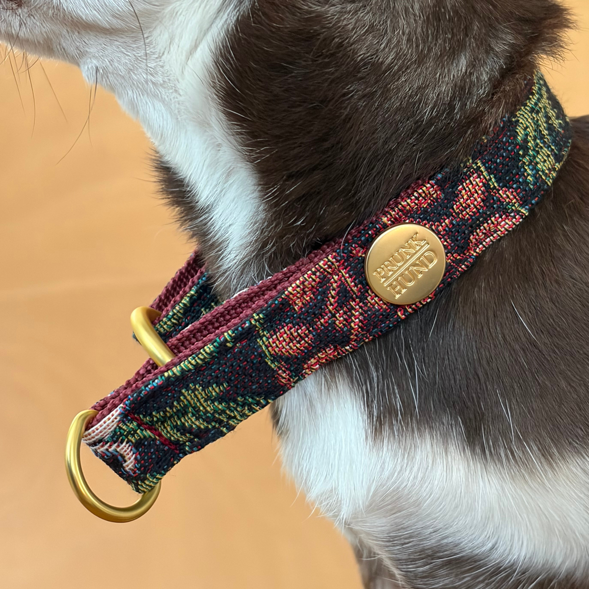 Zugstopp Halsband IVY