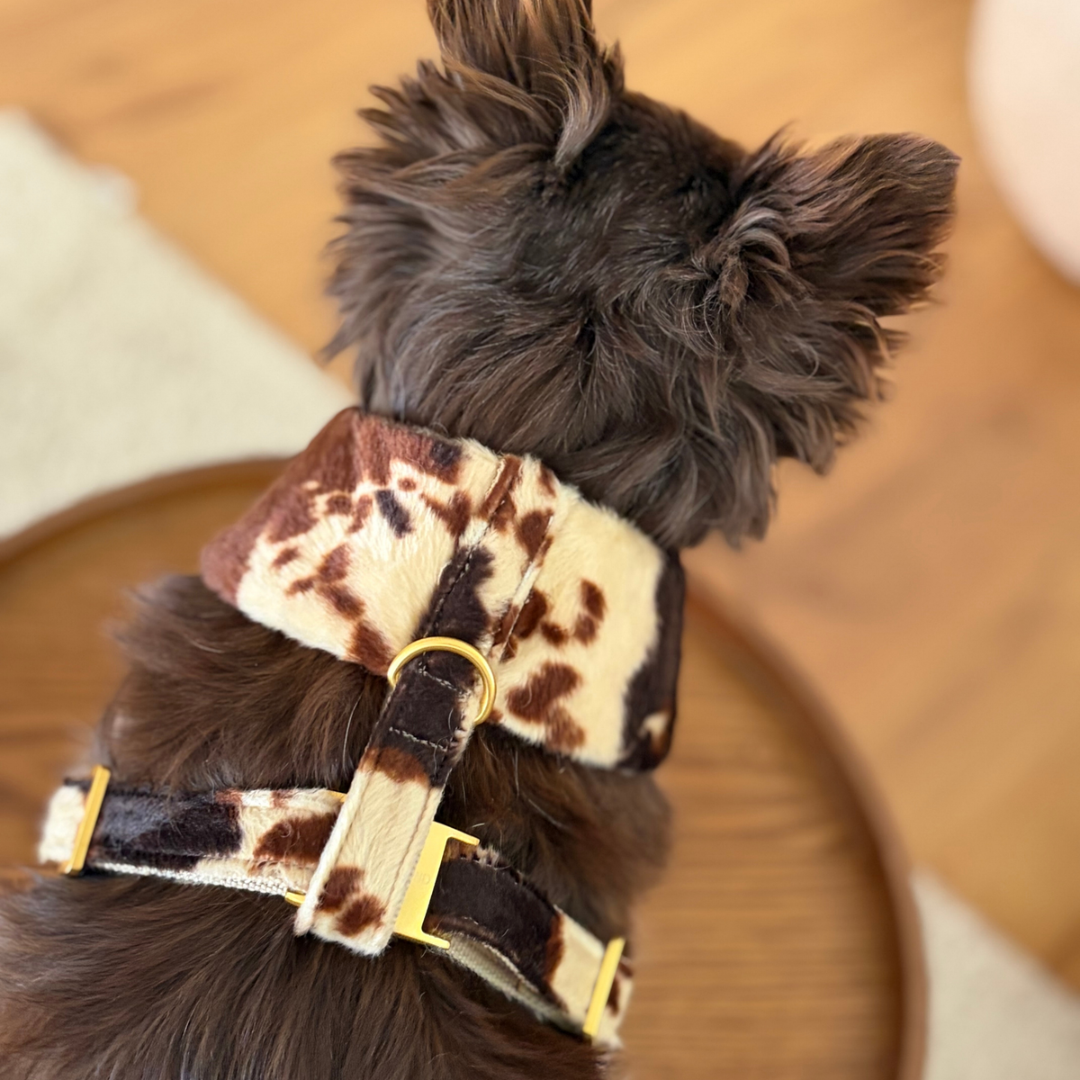 Soft harness SANTA BABY
