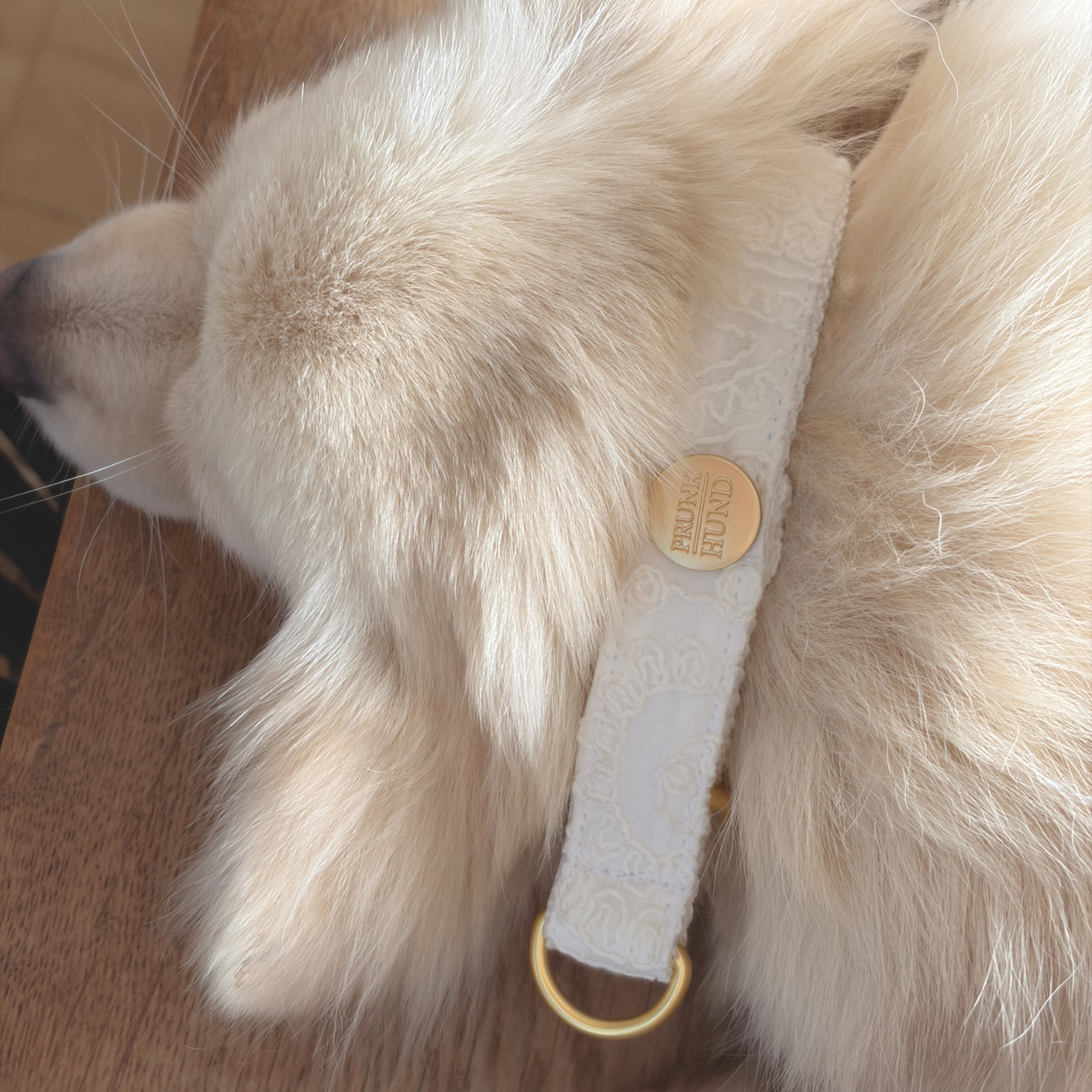 Zugstopp Halsband IVORY