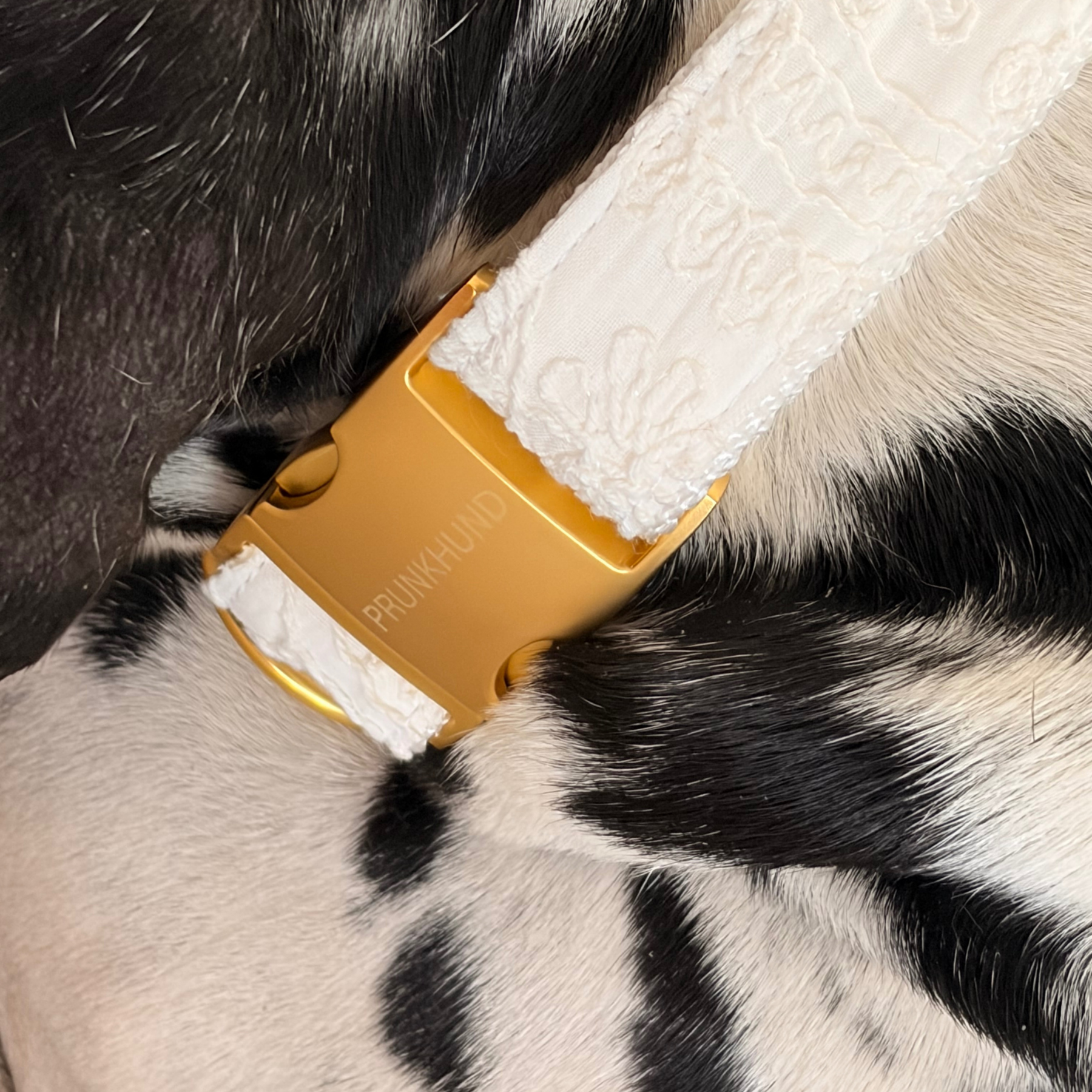 BASIC olive collar