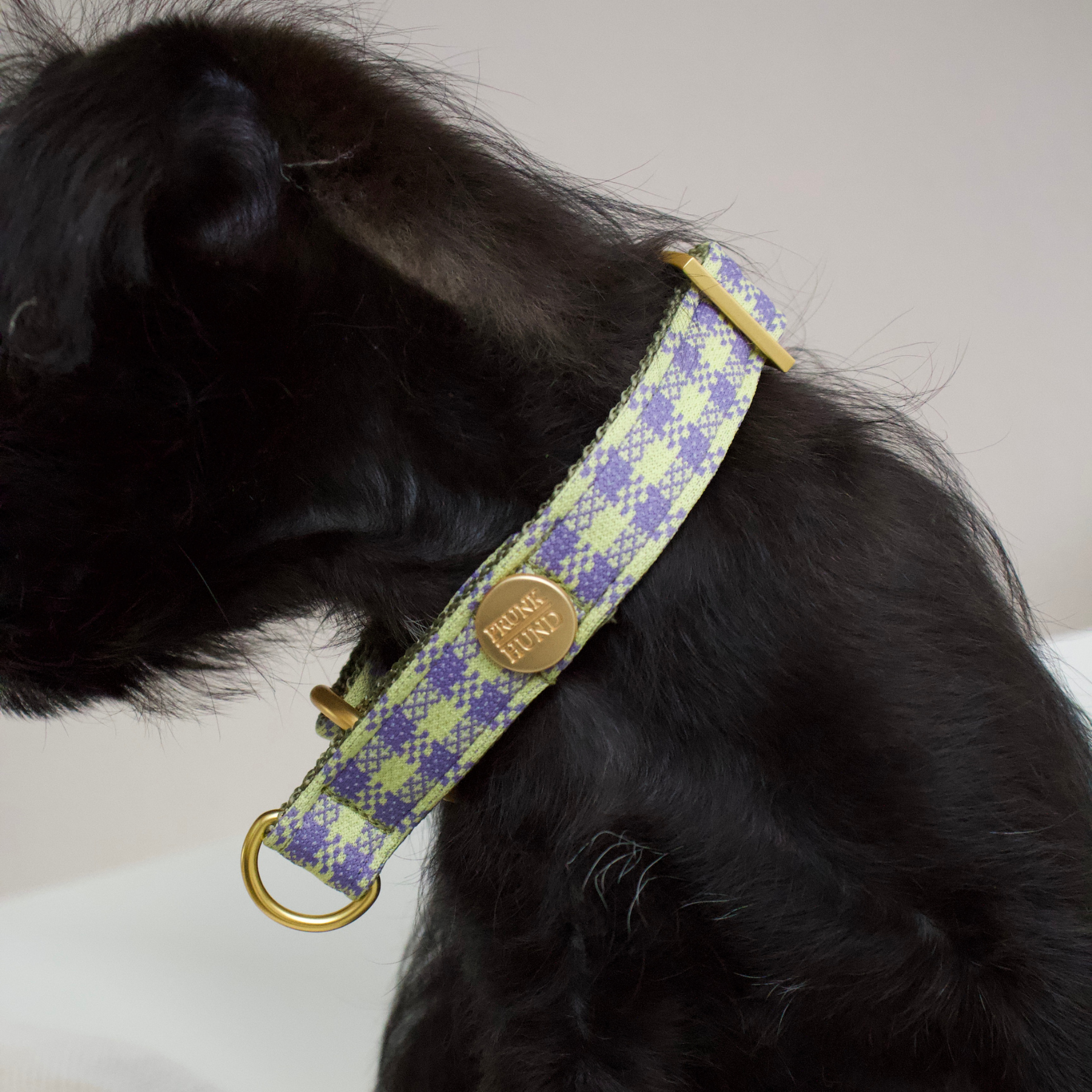 martingale collar NOTTING HILL