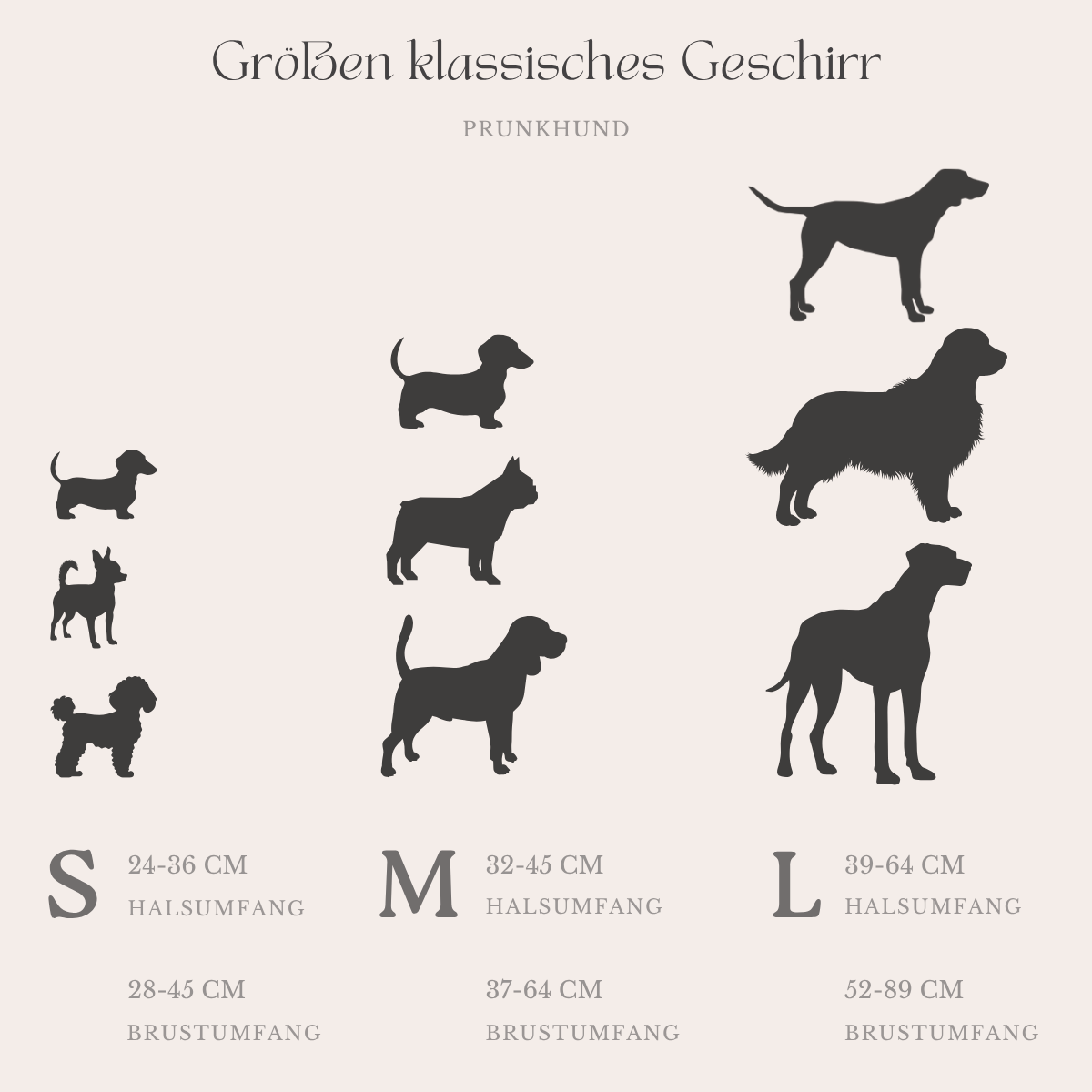 Sicherheitsgeschirr TRAVELER