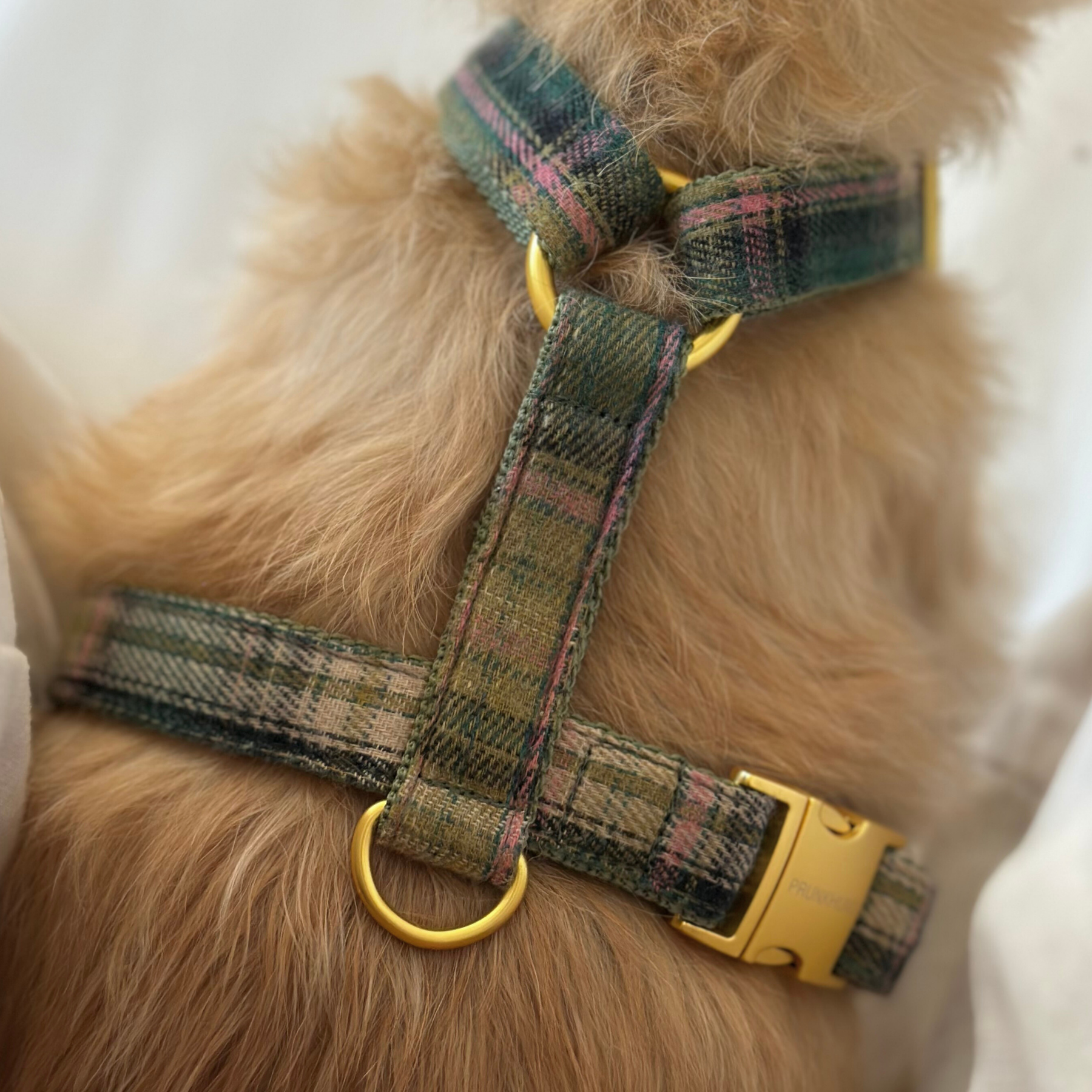 Hundegeschirr TARTAN