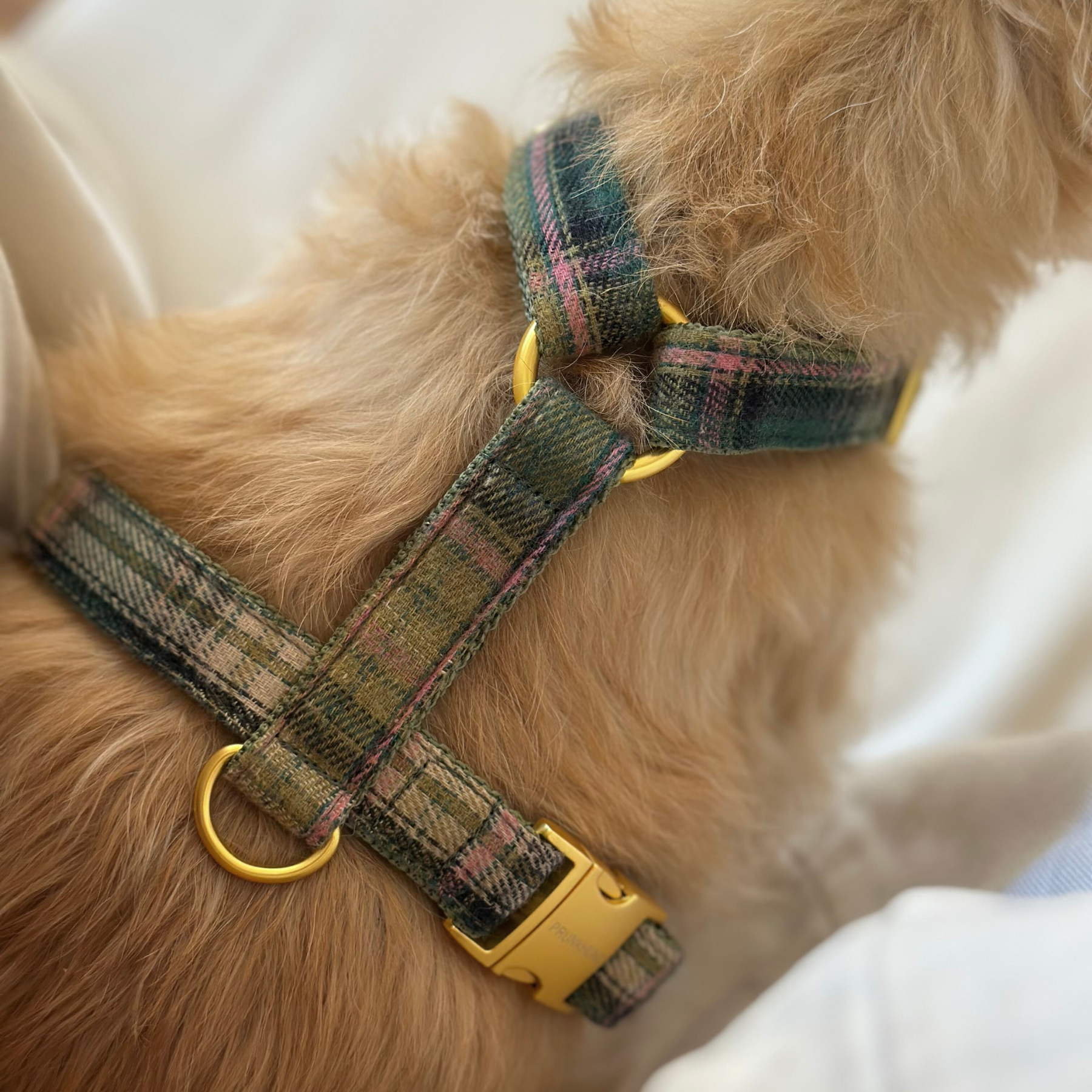 Hundegeschirr TARTAN