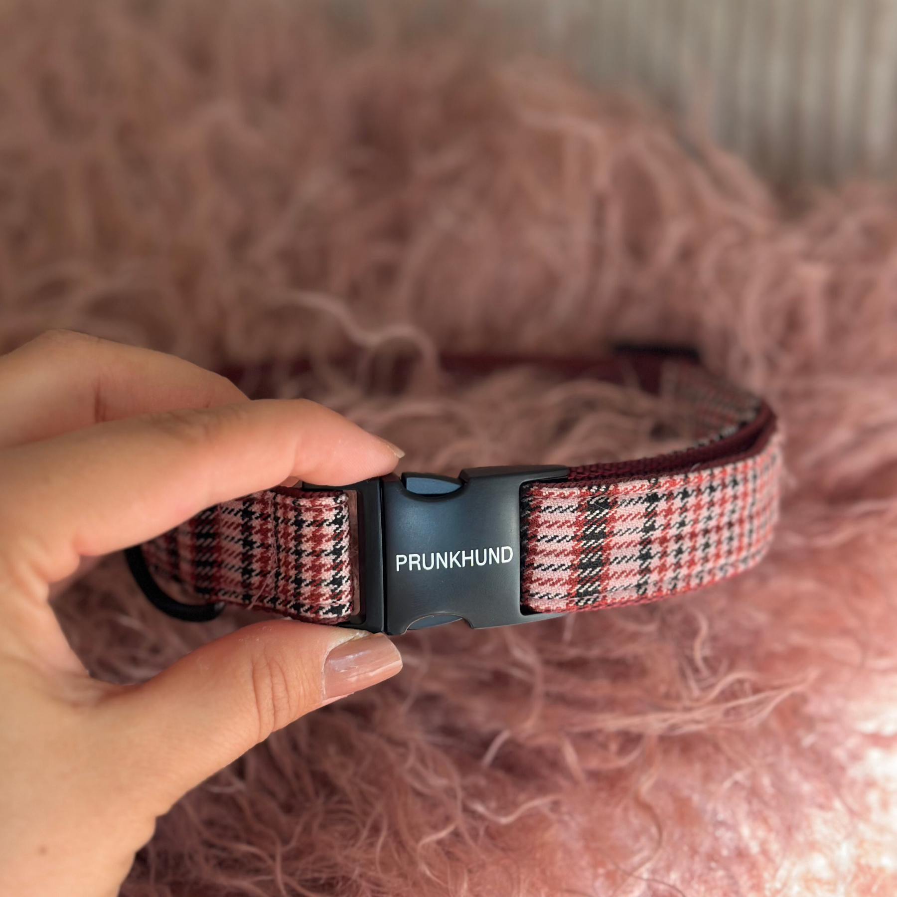 URBAN collar