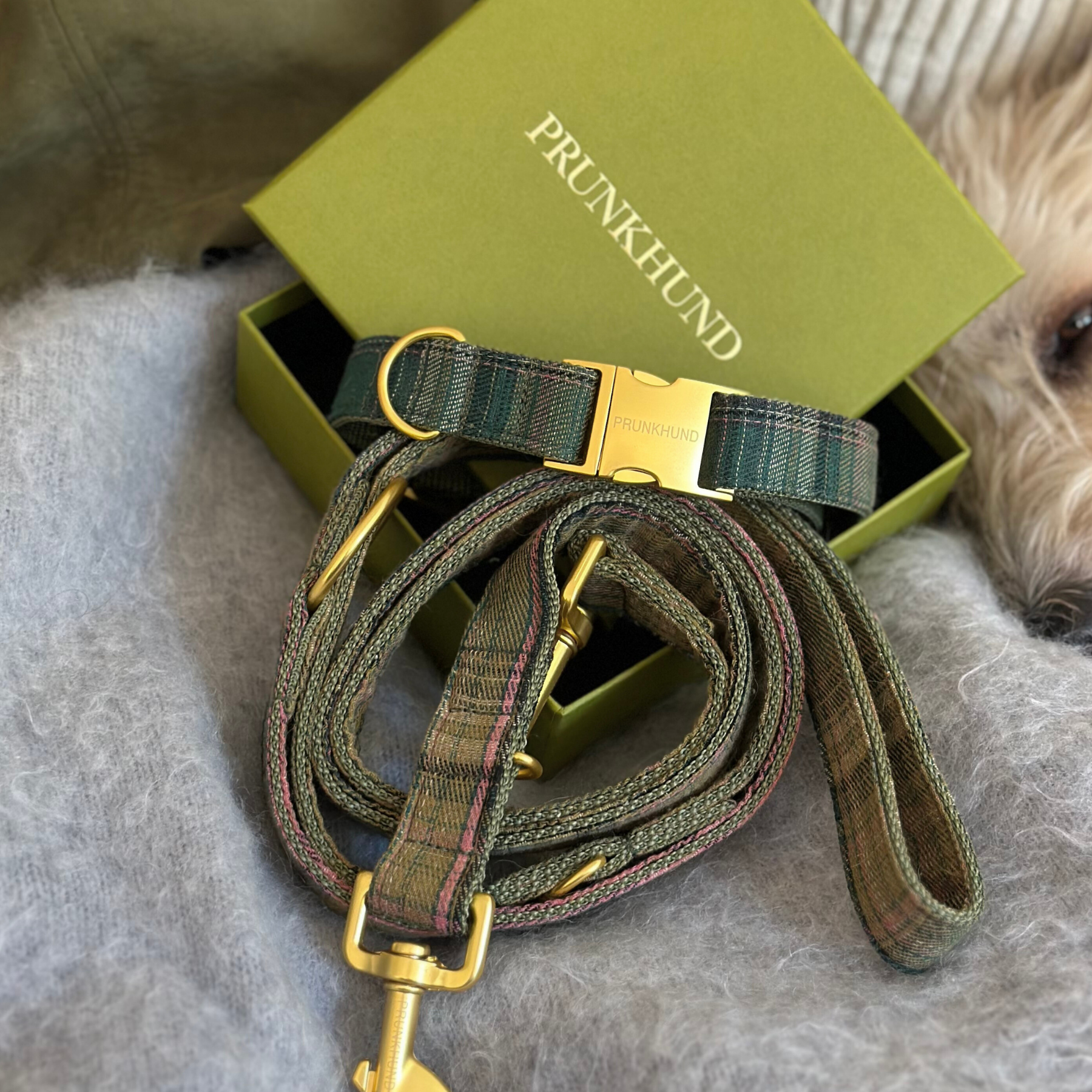 Halsband TARTAN