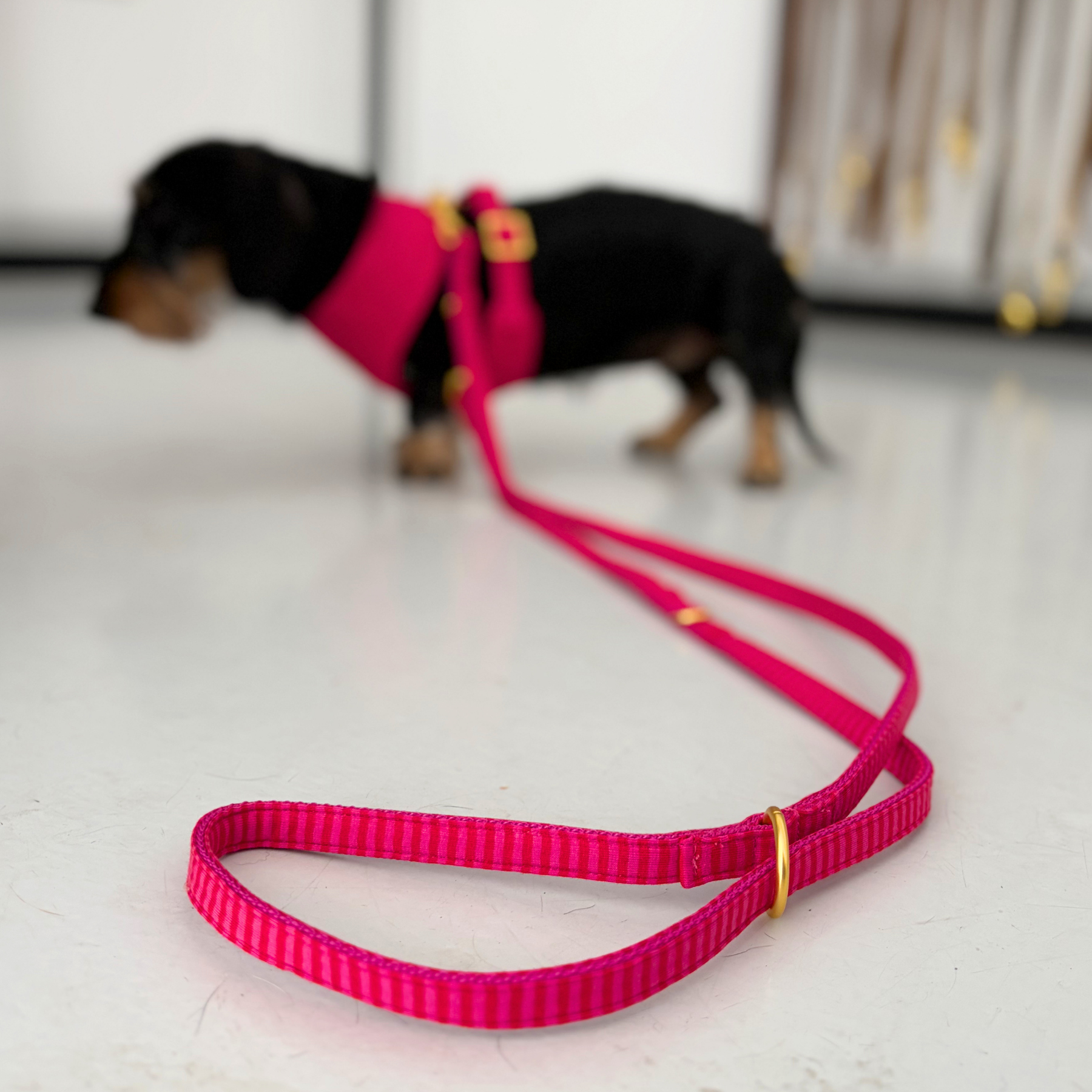 Leine RIVIERA pink