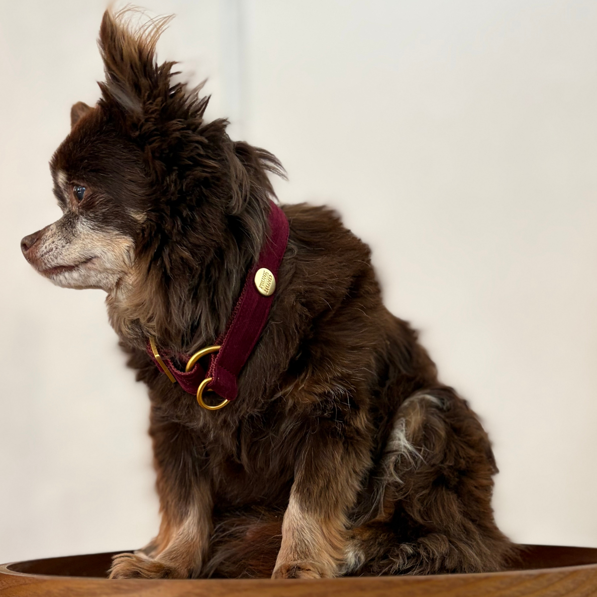 Zugstopp Halsband MERLOT