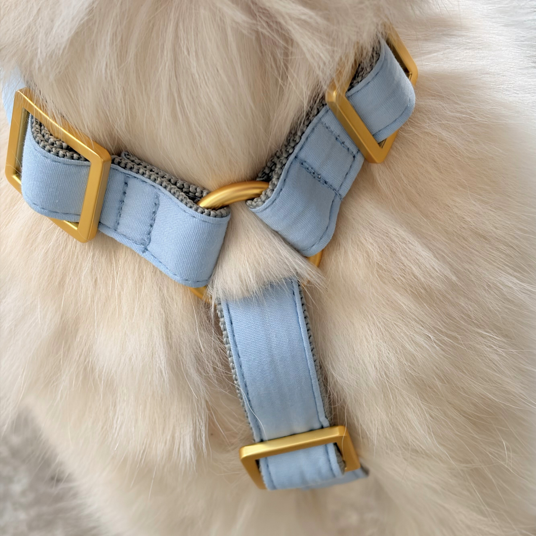 Sicherheitsgeschirr COTTON blue