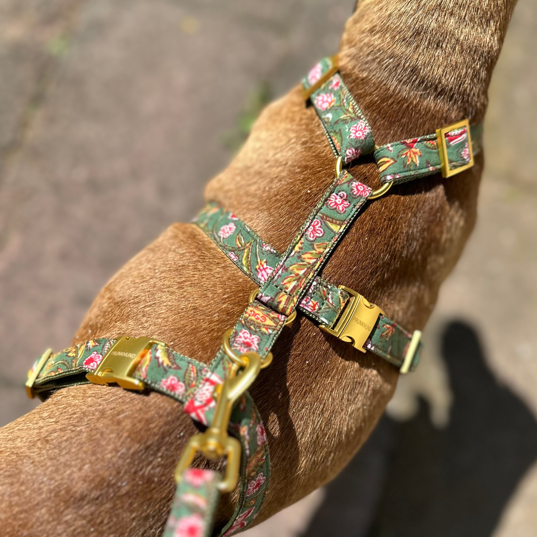 Sicherheitsgeschirr GOA garden