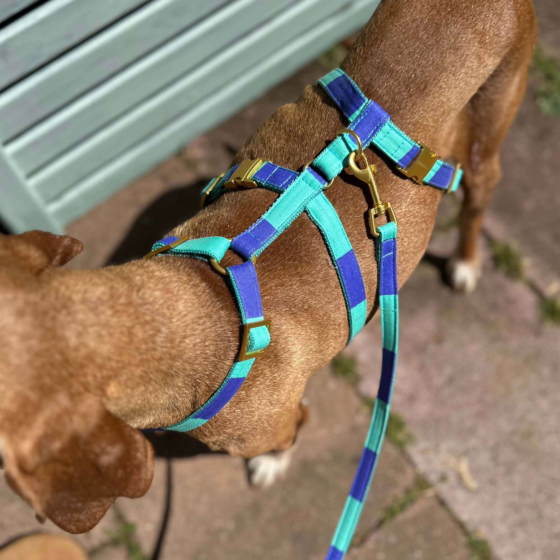 CAPRI mint leash