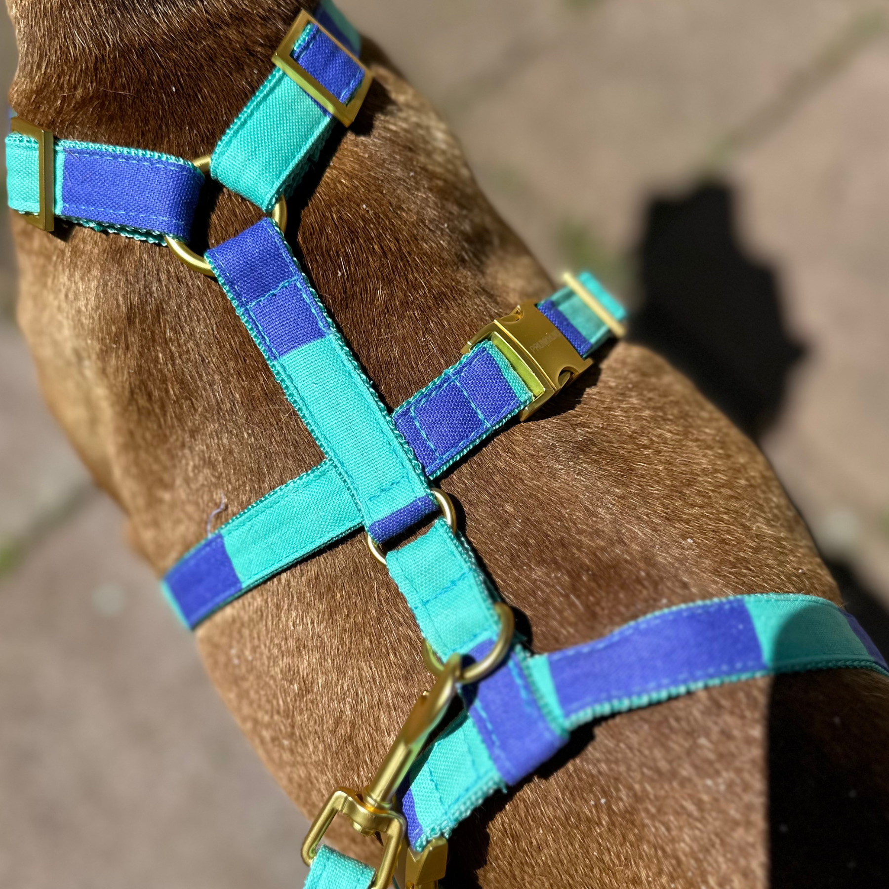 safety harness capri mint