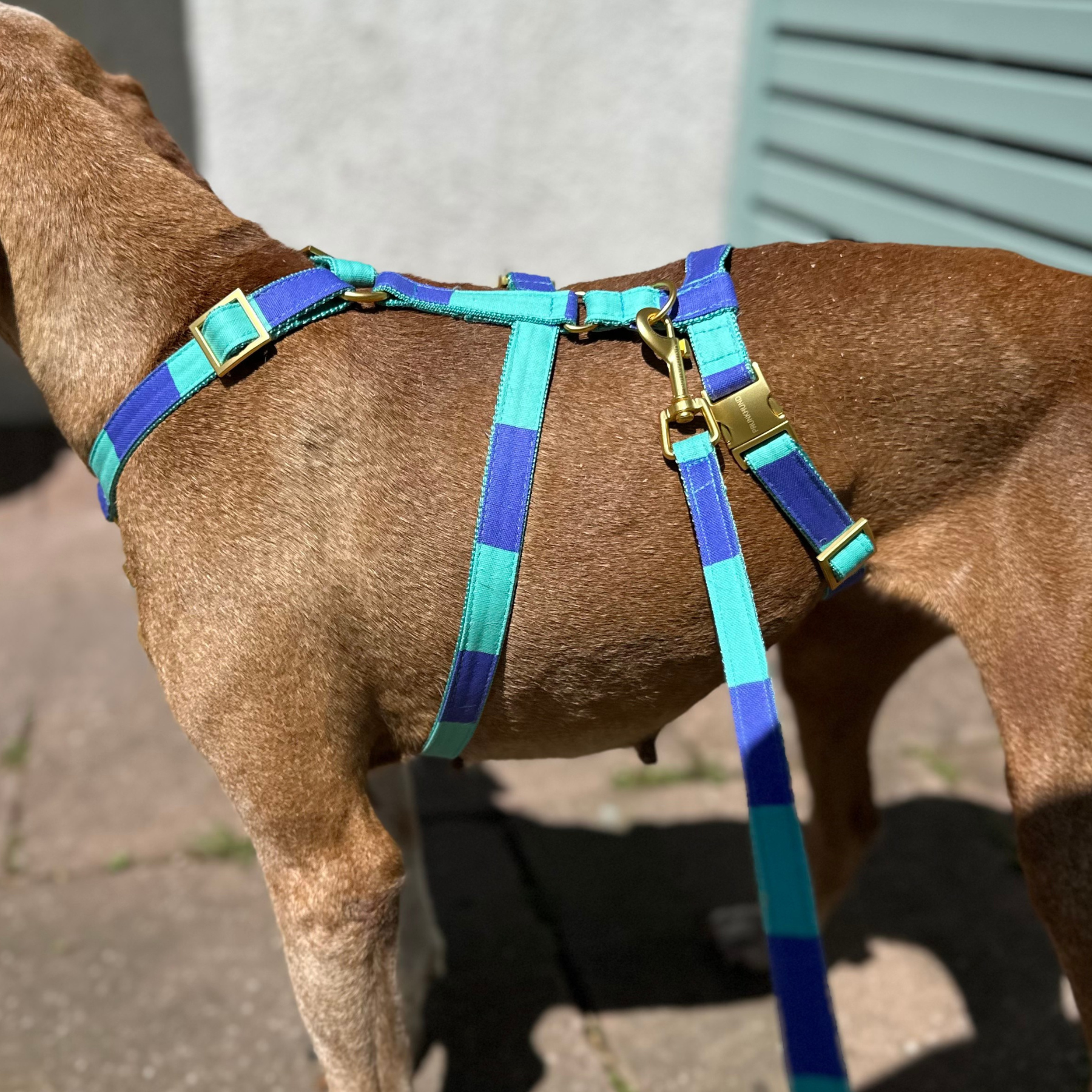 CAPRI mint leash