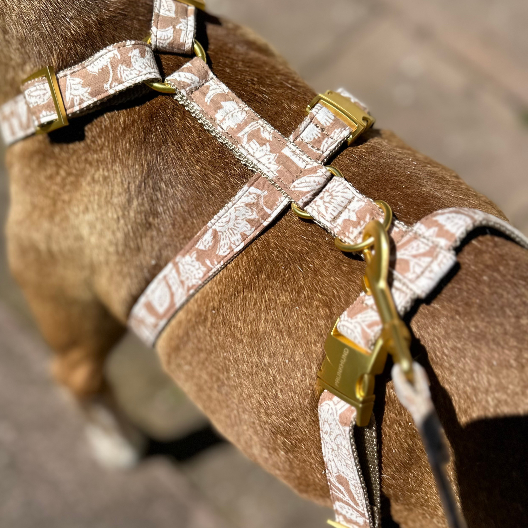 safety harness GOA sand