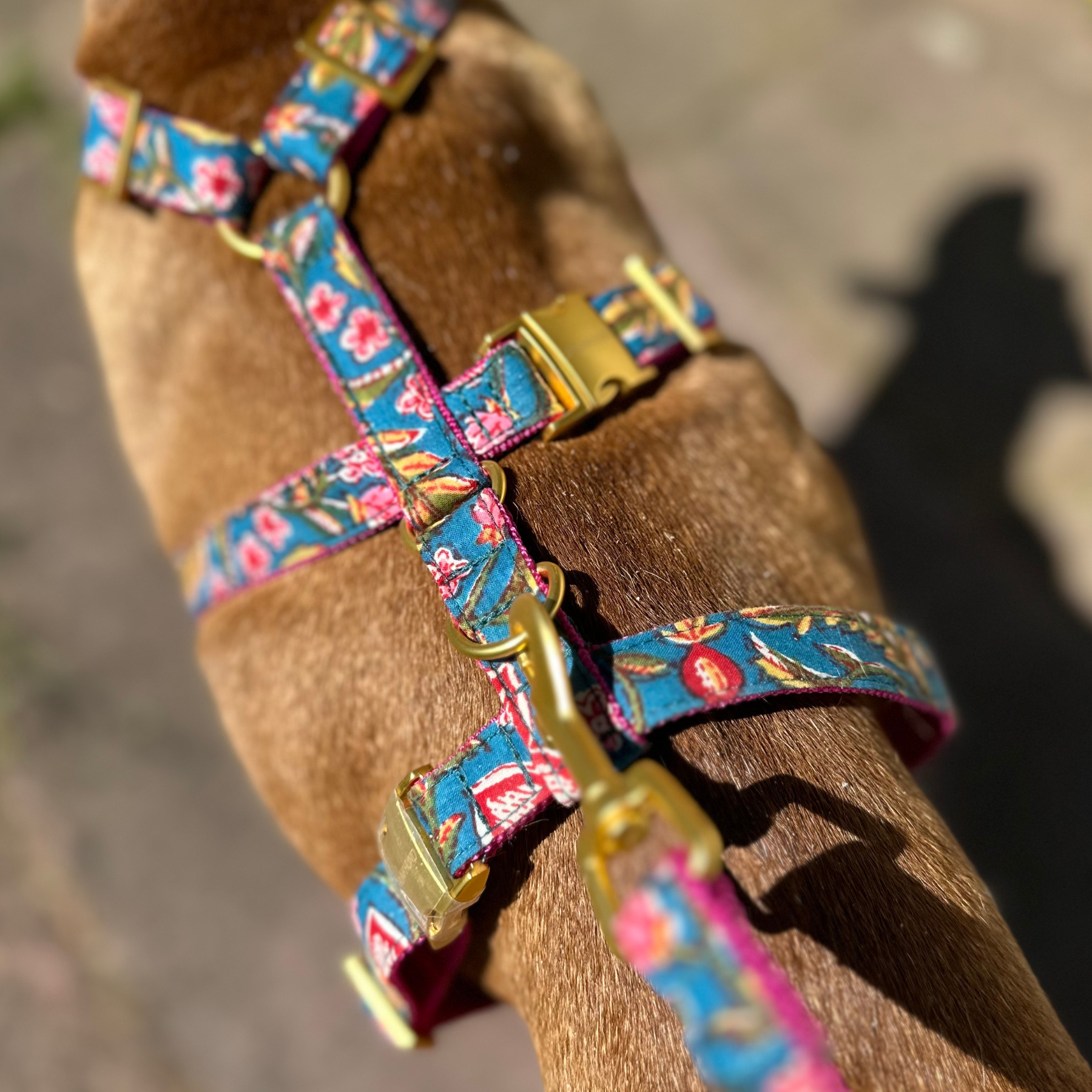 safety harness GOA Azur