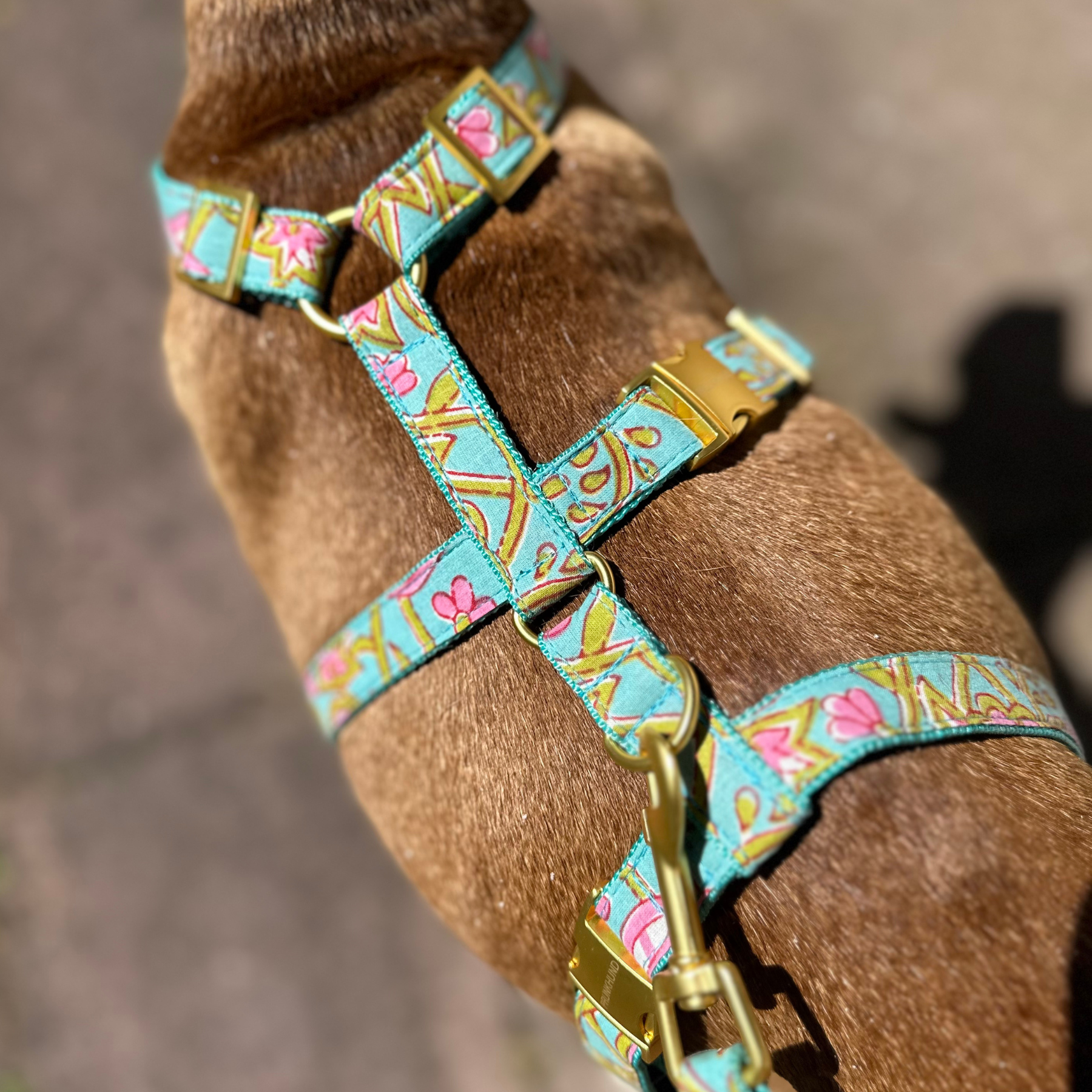 safety harness GOA aqua