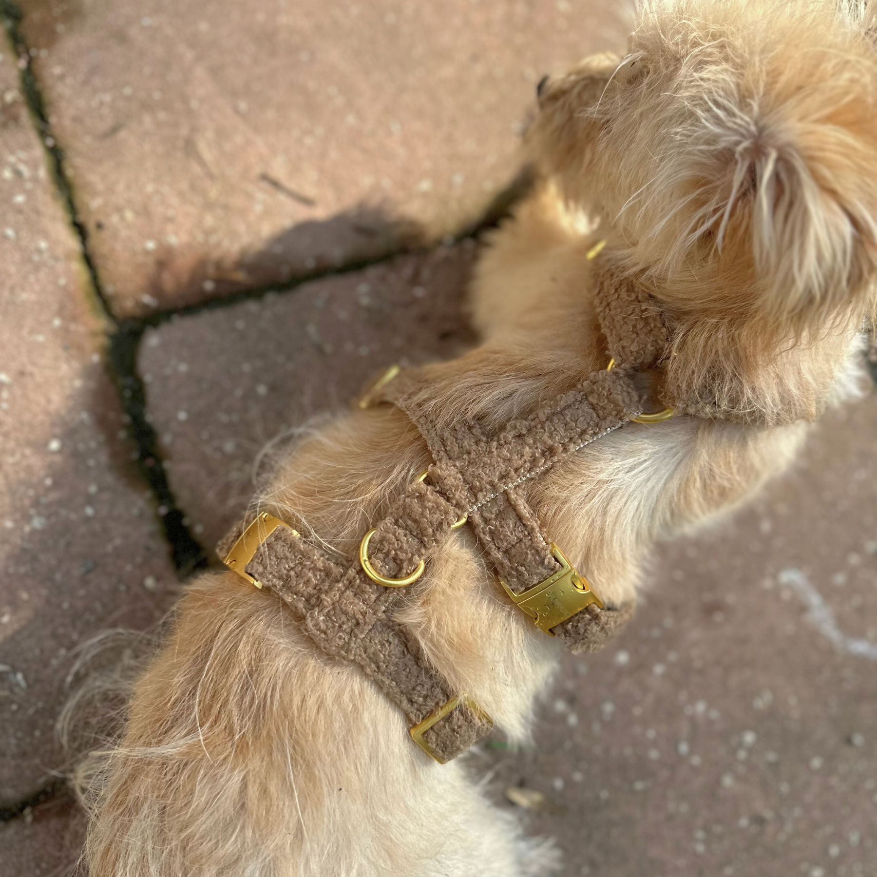 safety harness TEDDY tan