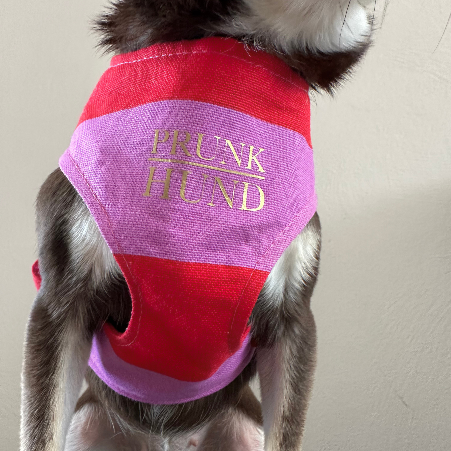 CAPRI pink SOFT HARNESS