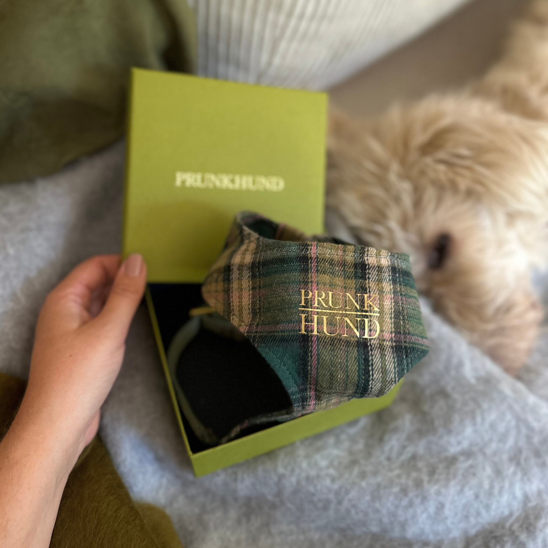 Softgeschirr TARTAN